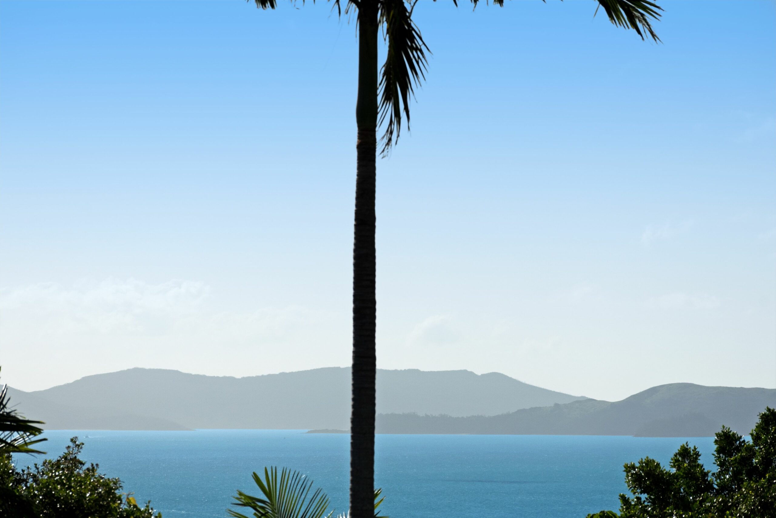 Oasis 25 Hamilton Island