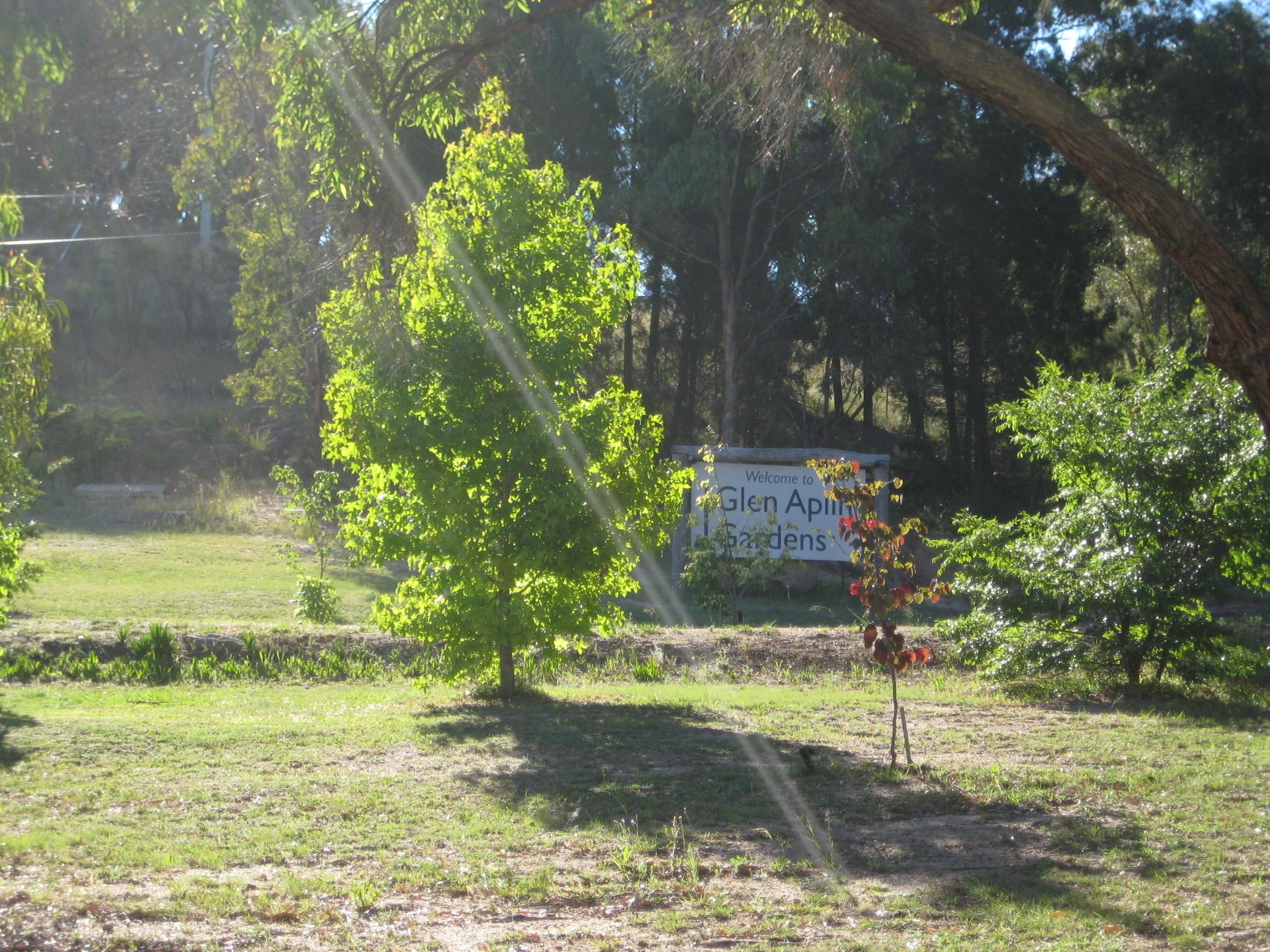 Glen Aplin Gardens B&B