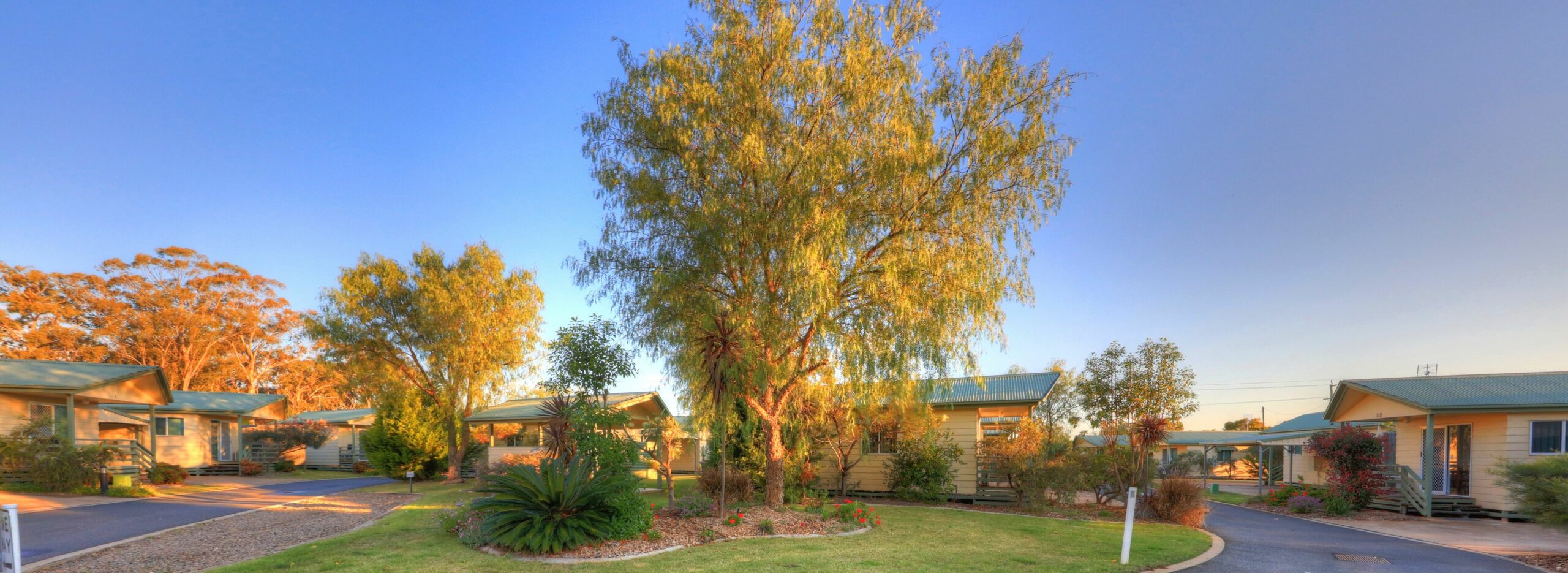 Pepper Tree Cabins