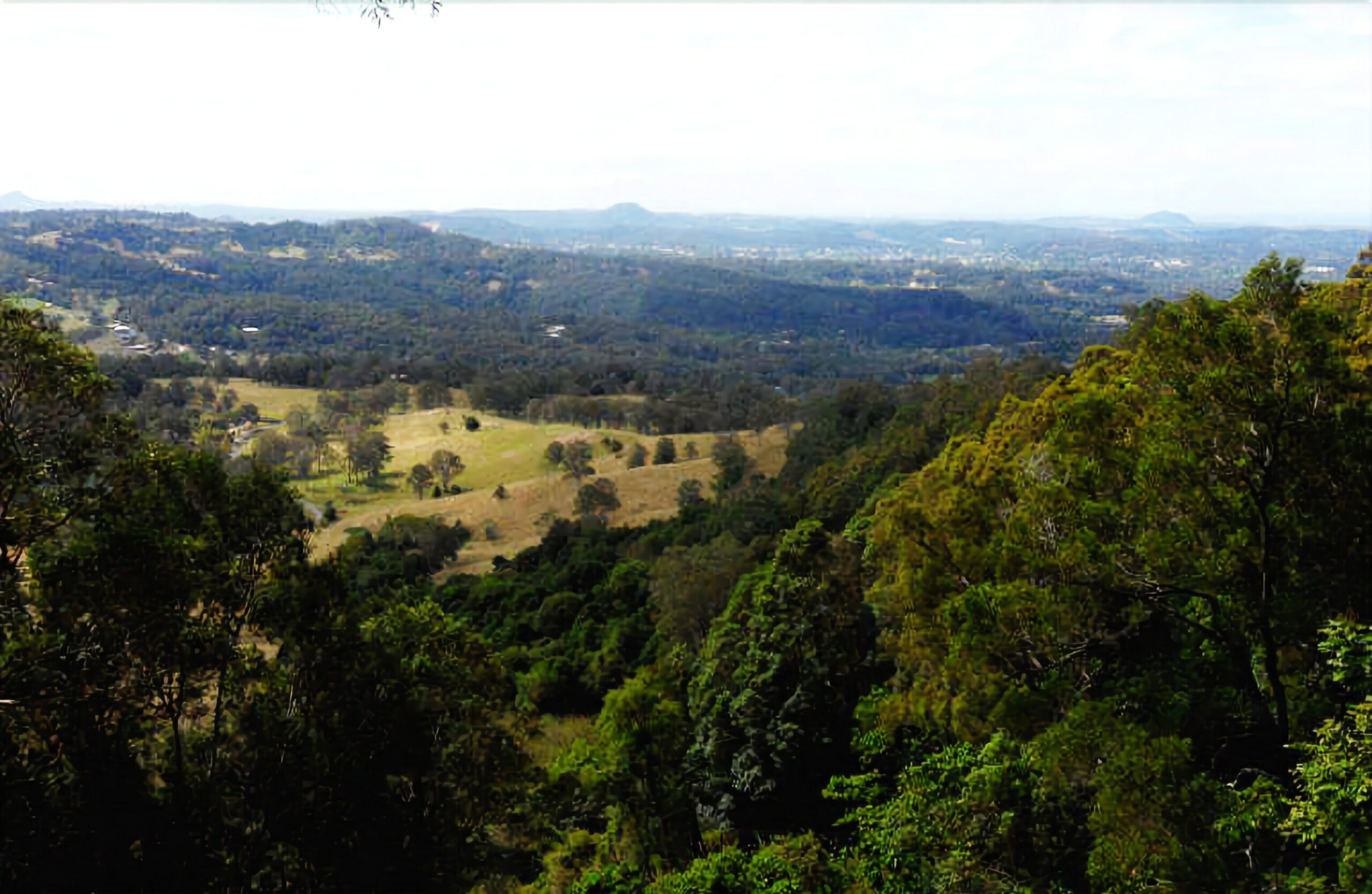 Treetops Accommodation Montville