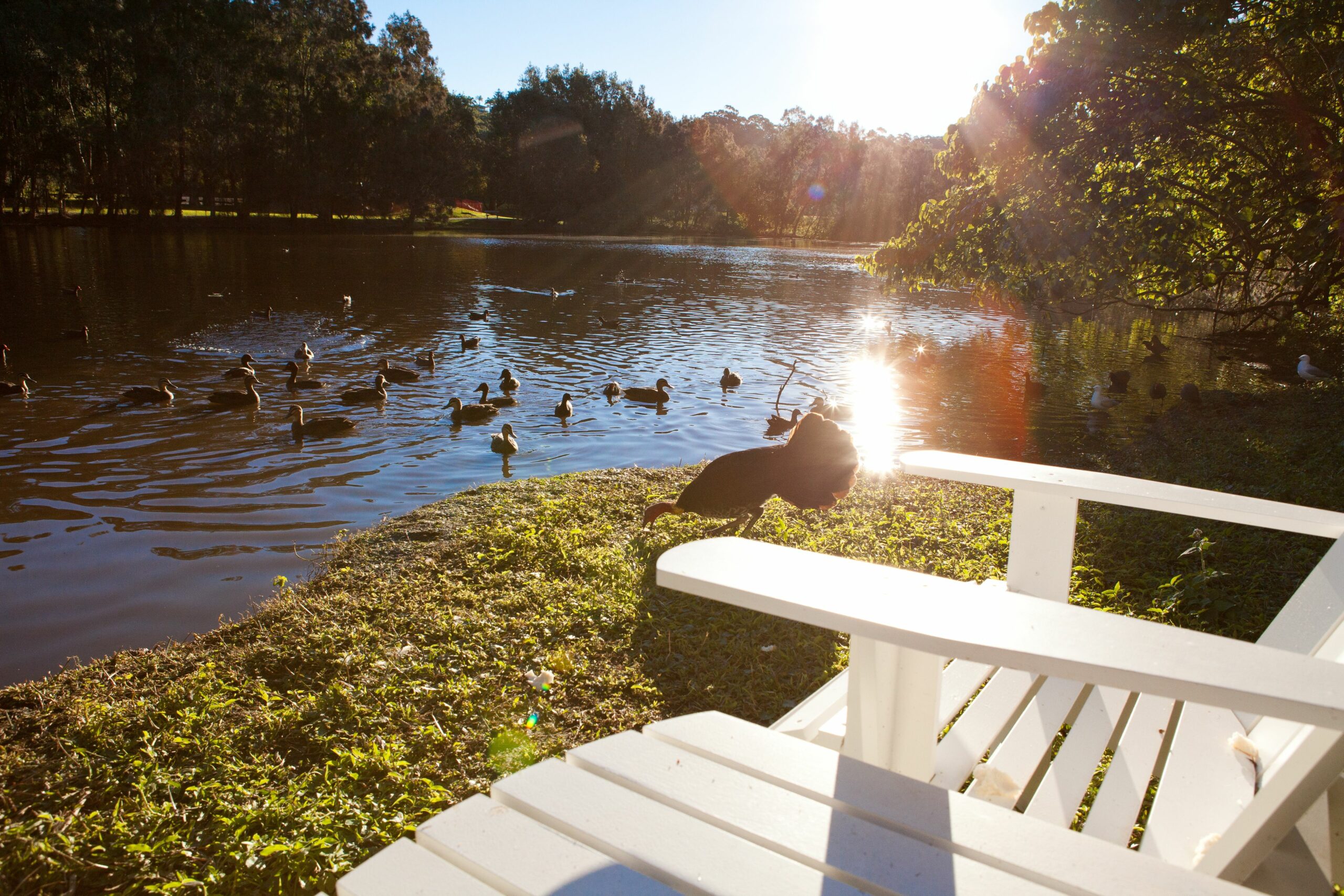 Sanctuary Lake Apartments