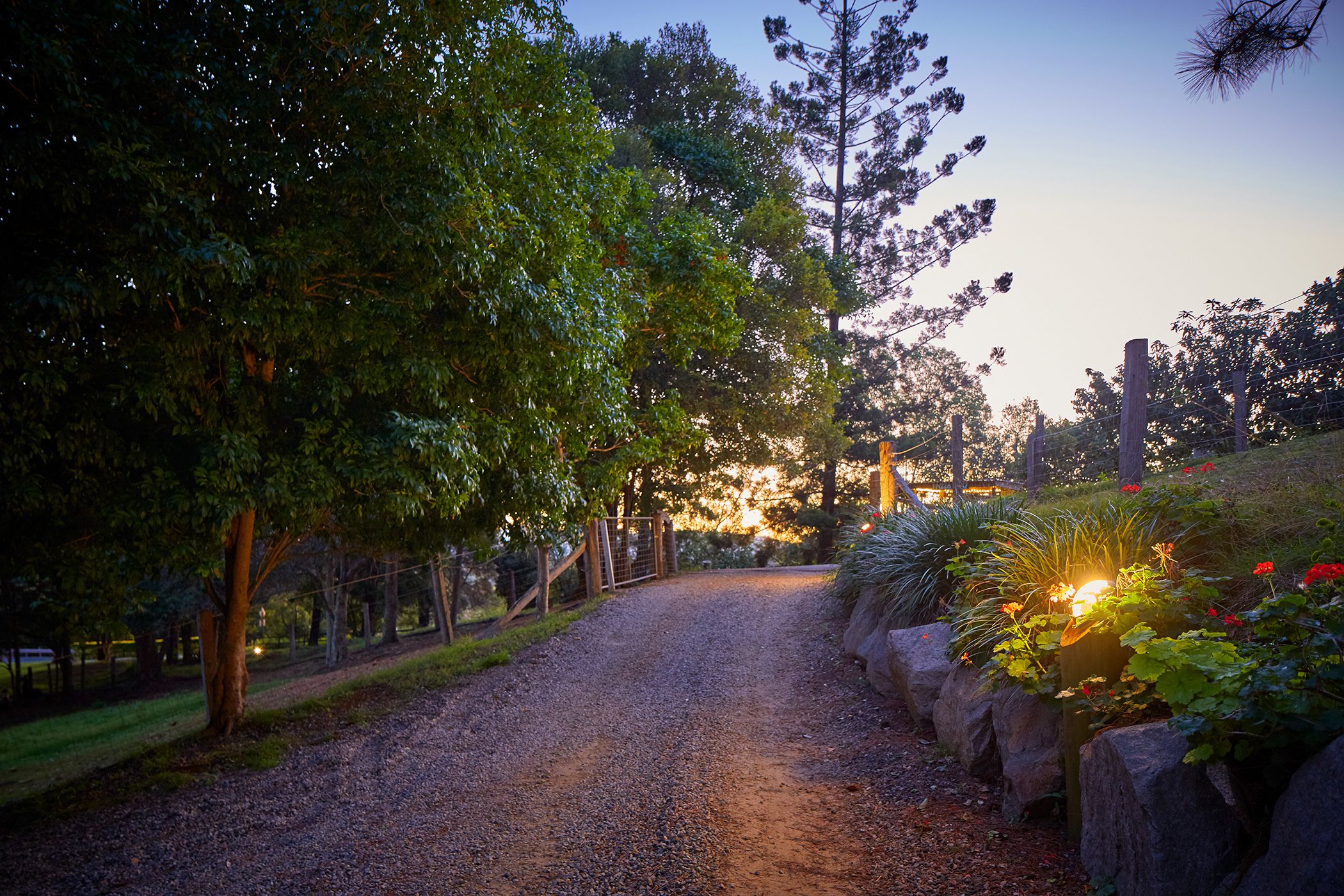 Dayboro Cottages & Llama Walks
