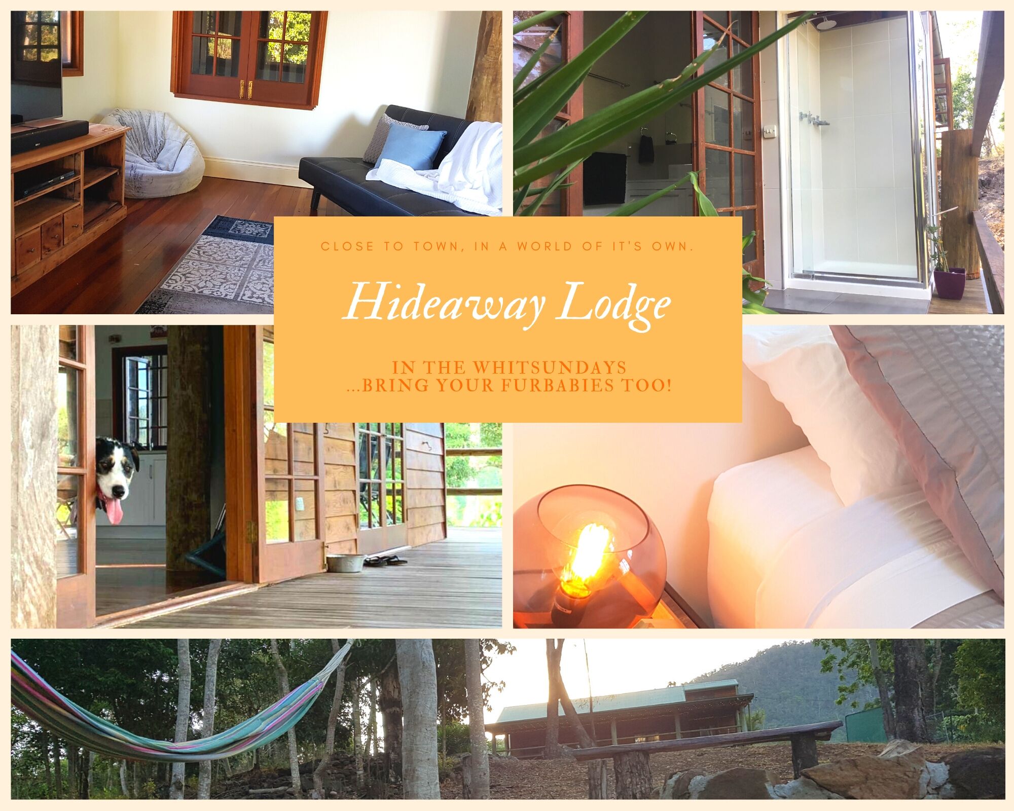 Whitsunday’s Hideaway Lodge Pet Friendly Like a Treehouse