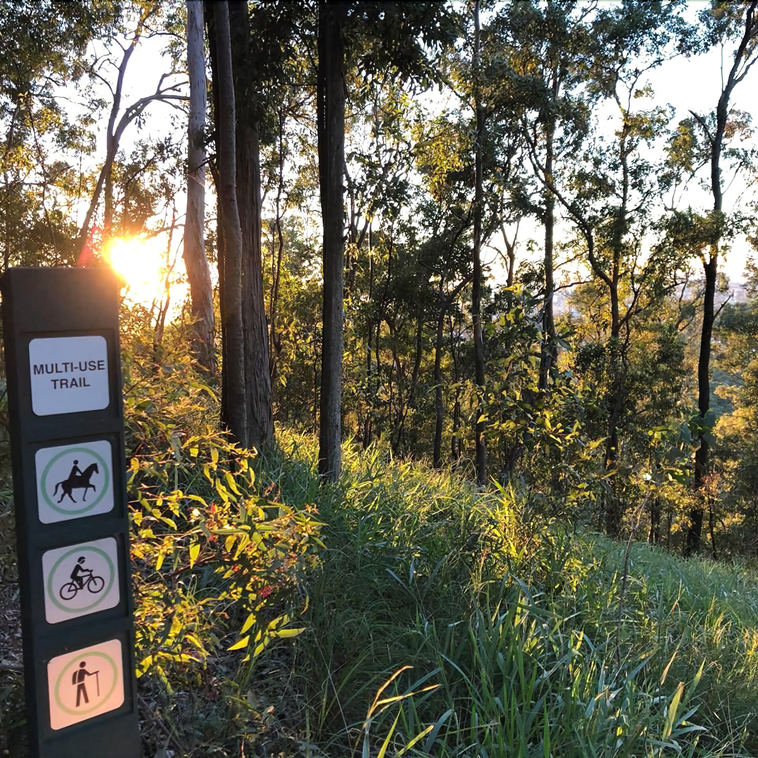 Paperbark Bed & Breakfast