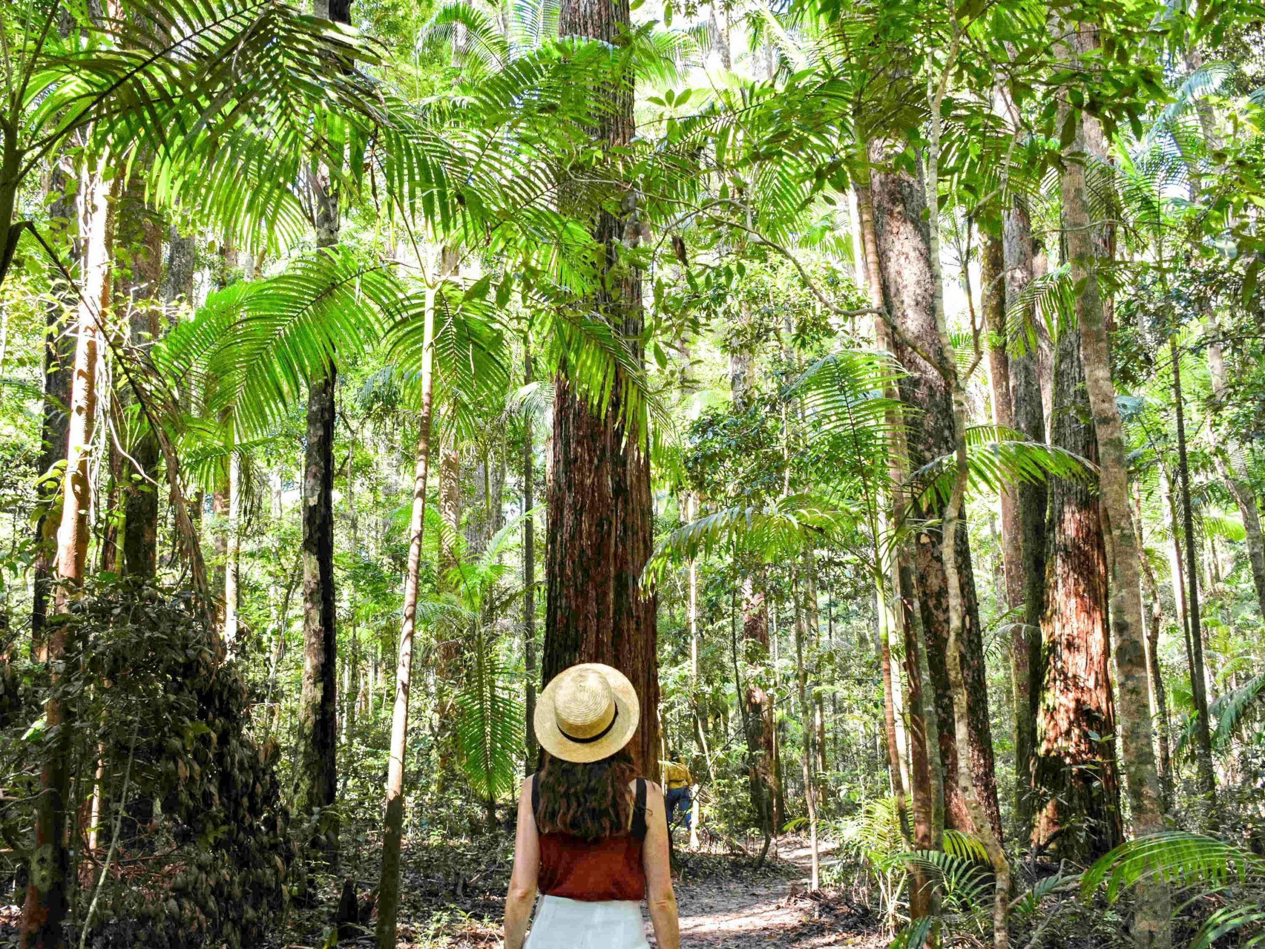 Mercure Kingfisher Bay Resort Fraser Island