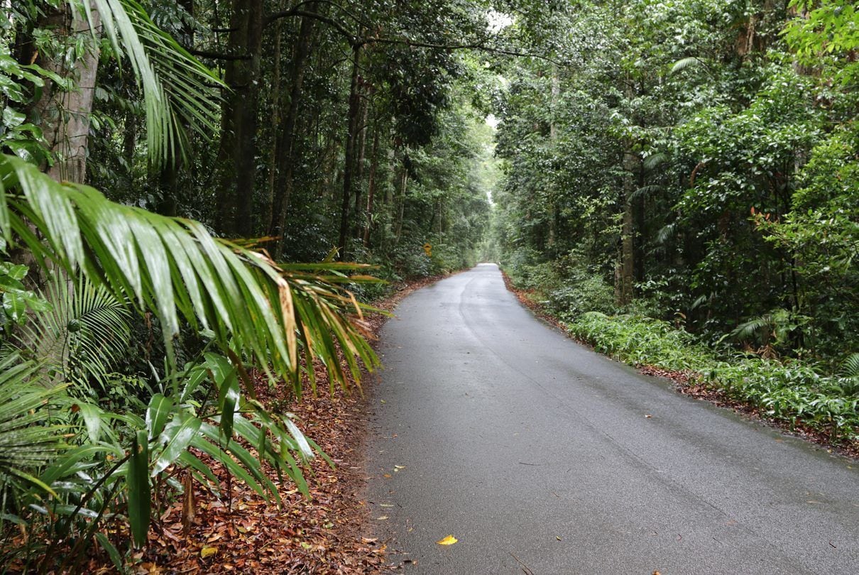 Chambers Wildlife Rainforest Lodges