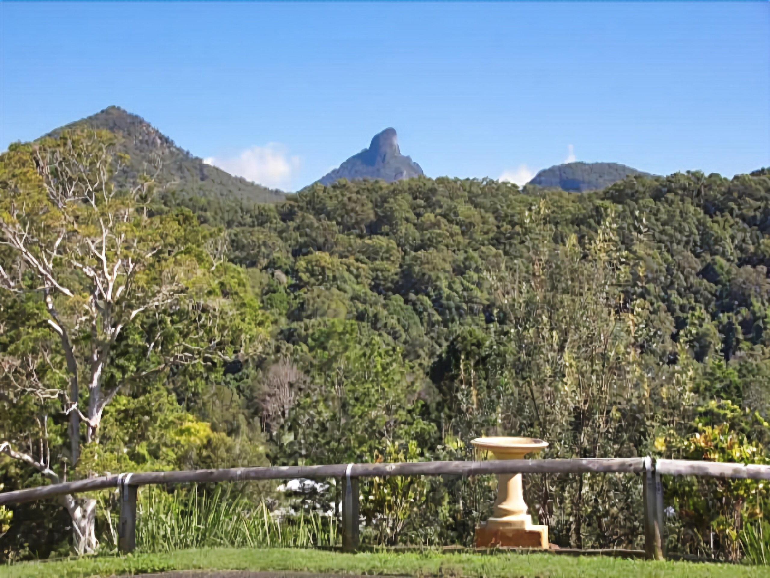 A View of Mt Warning Bed and Breakfast