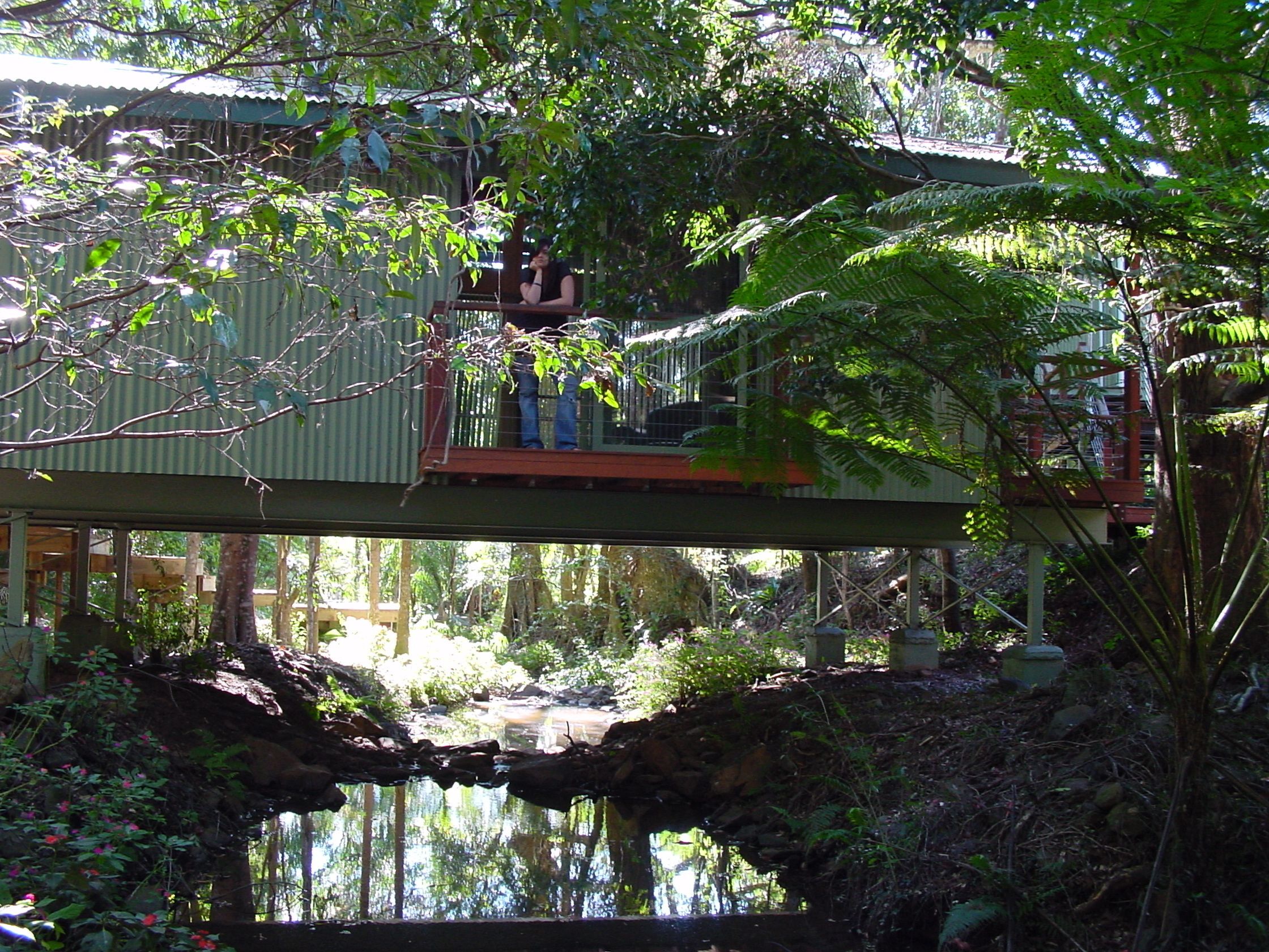 Treetops Accommodation Montville