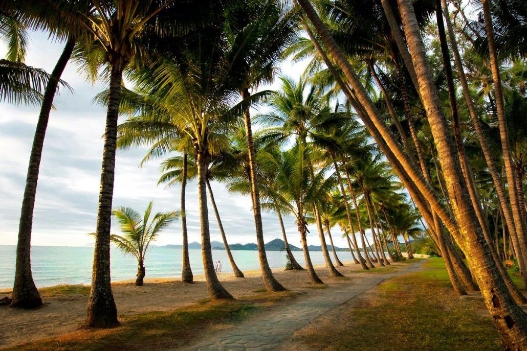 The Palms at Palm Cove