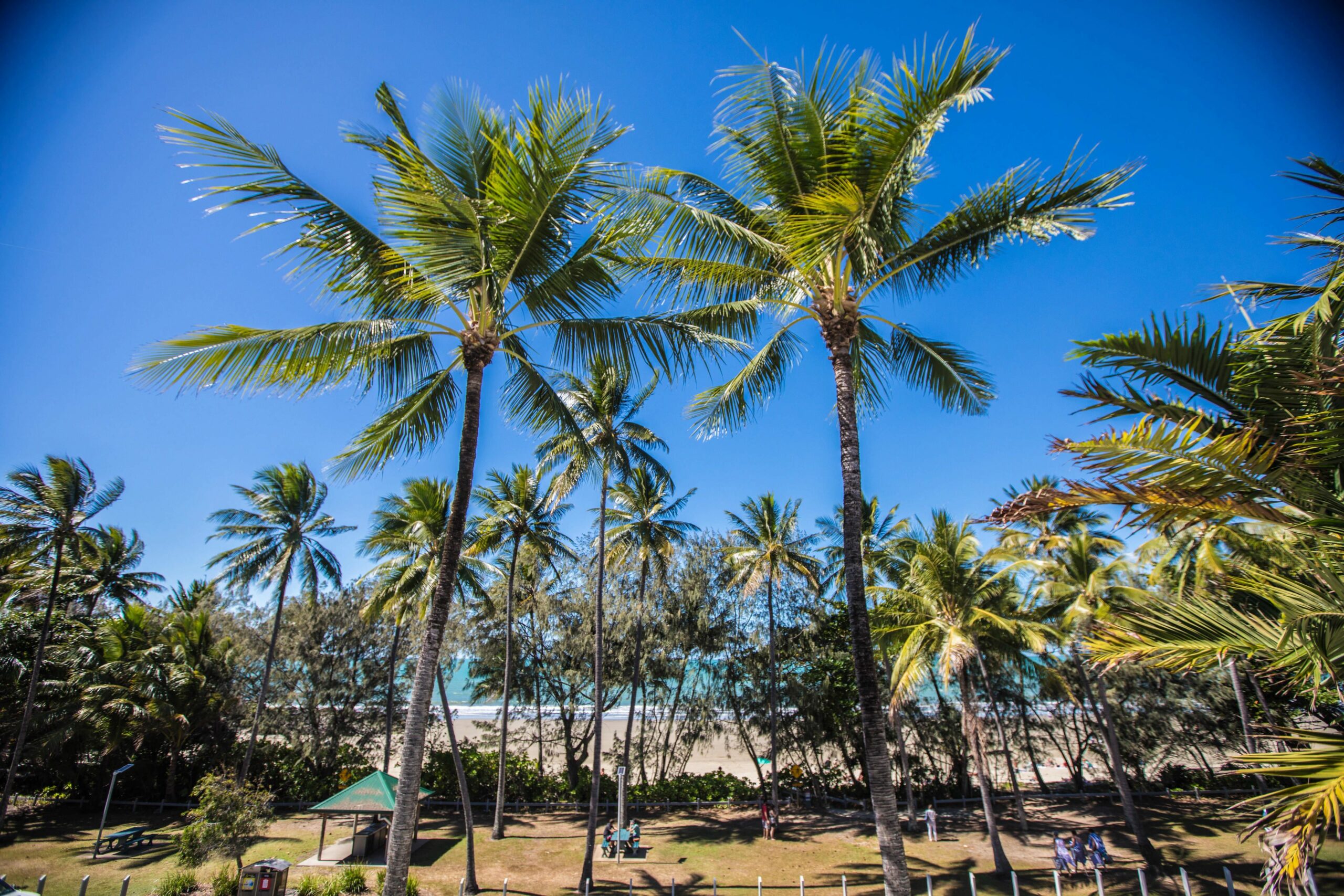 Peninsula Boutique Hotel Port Douglas - Adults Only Haven