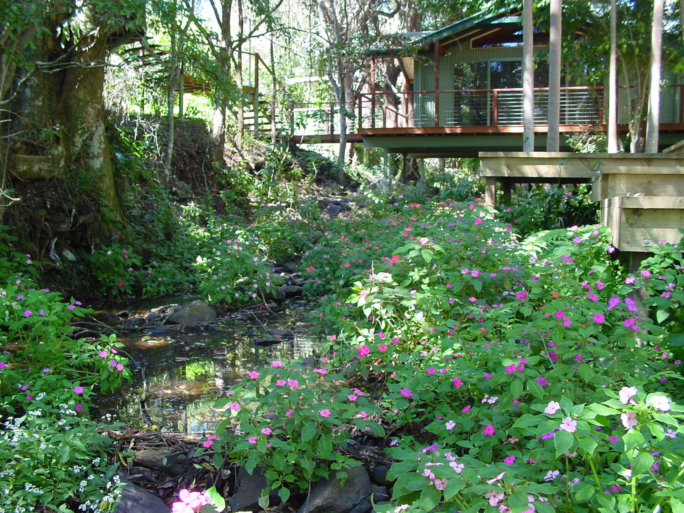 Treetops Accommodation Montville