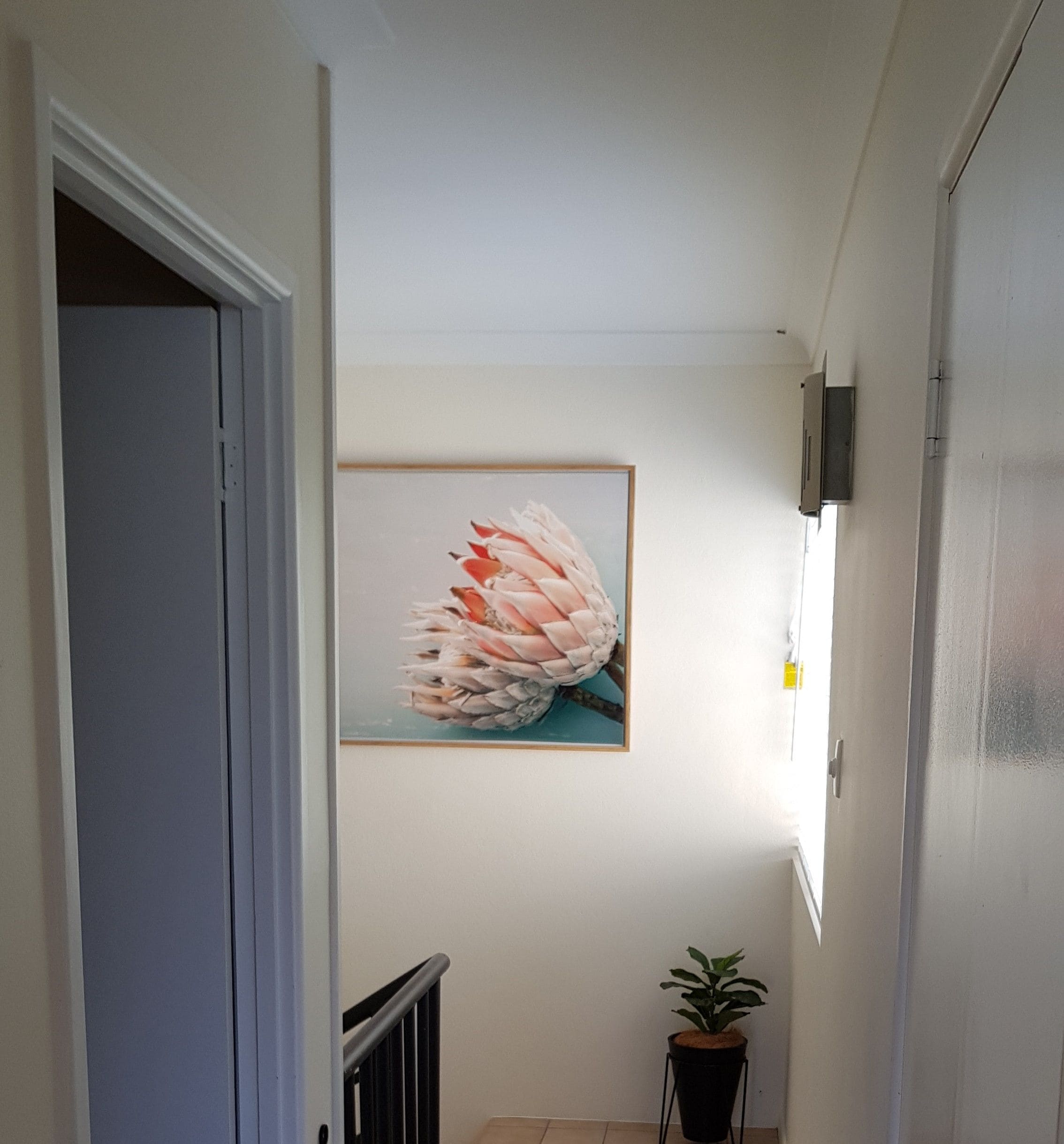 Beach House on Begley - Airlie Beach