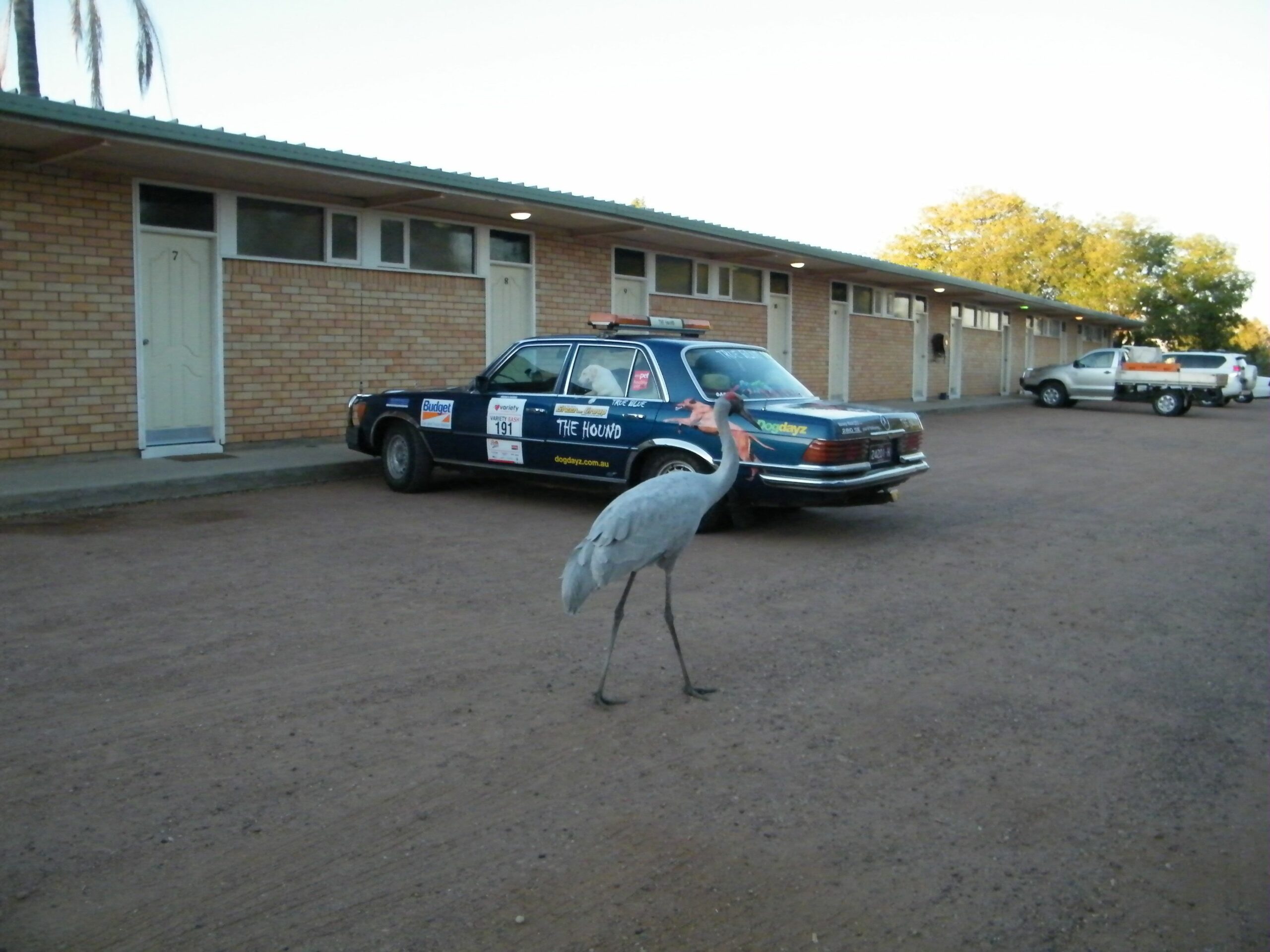 Jumbuck Motel