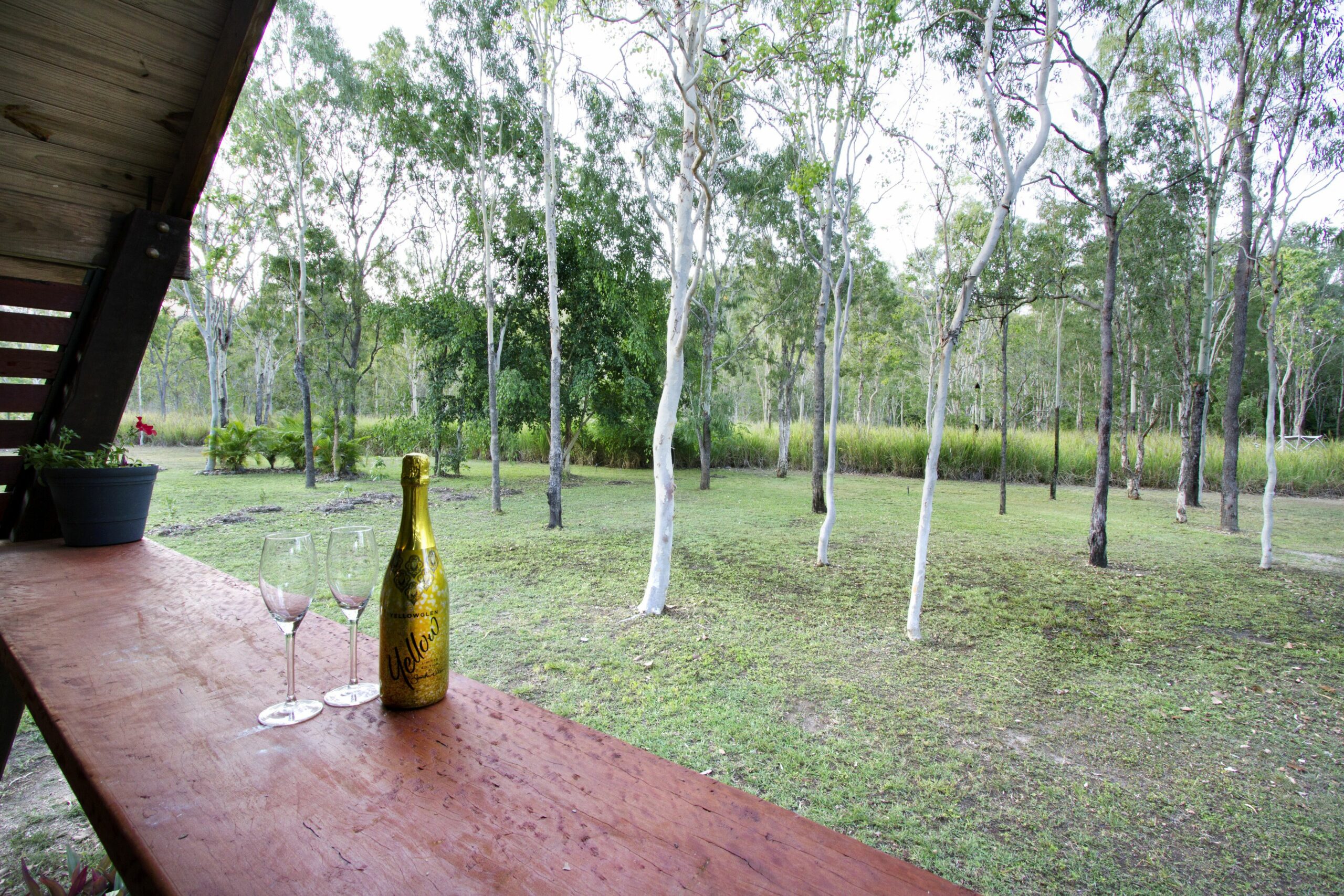 Airlie Beach Eco Cabins