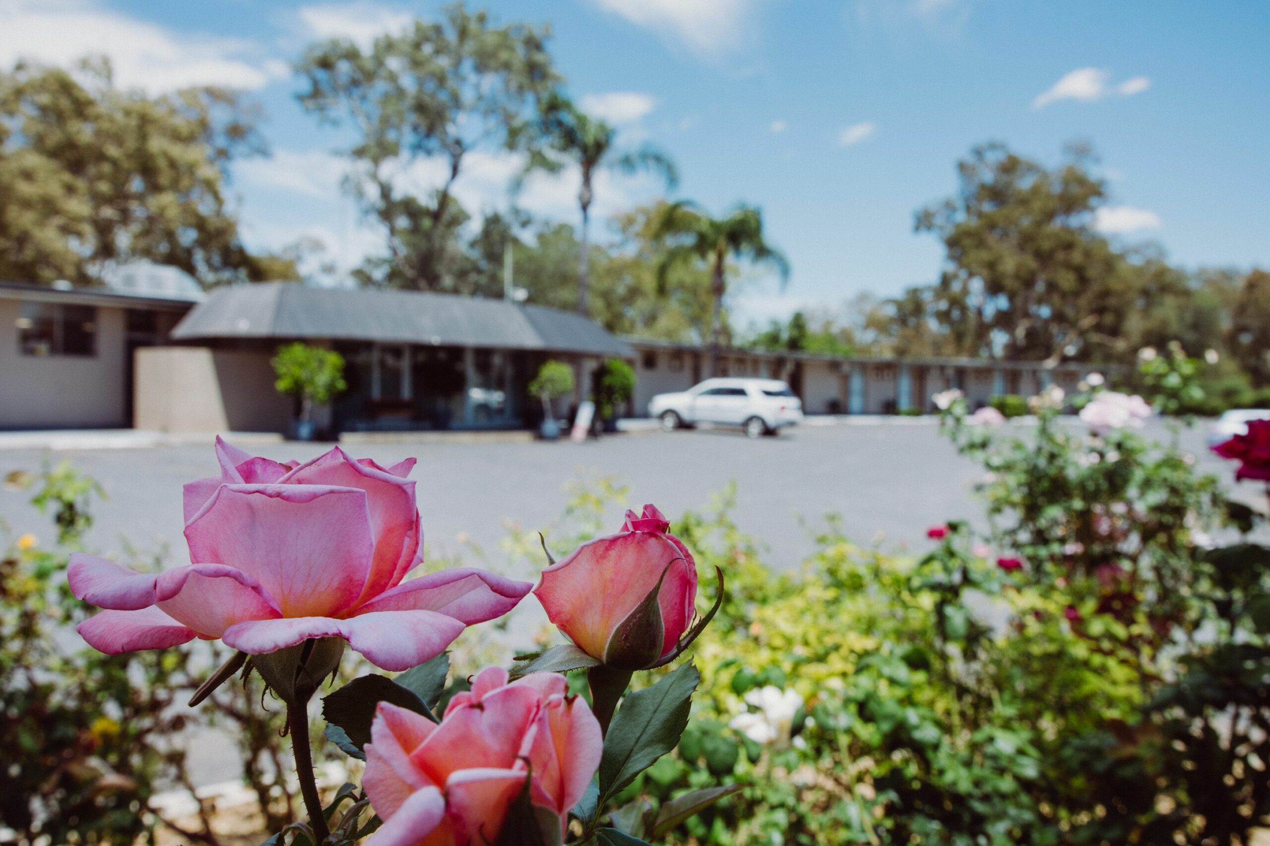 Artesian Spa Motel