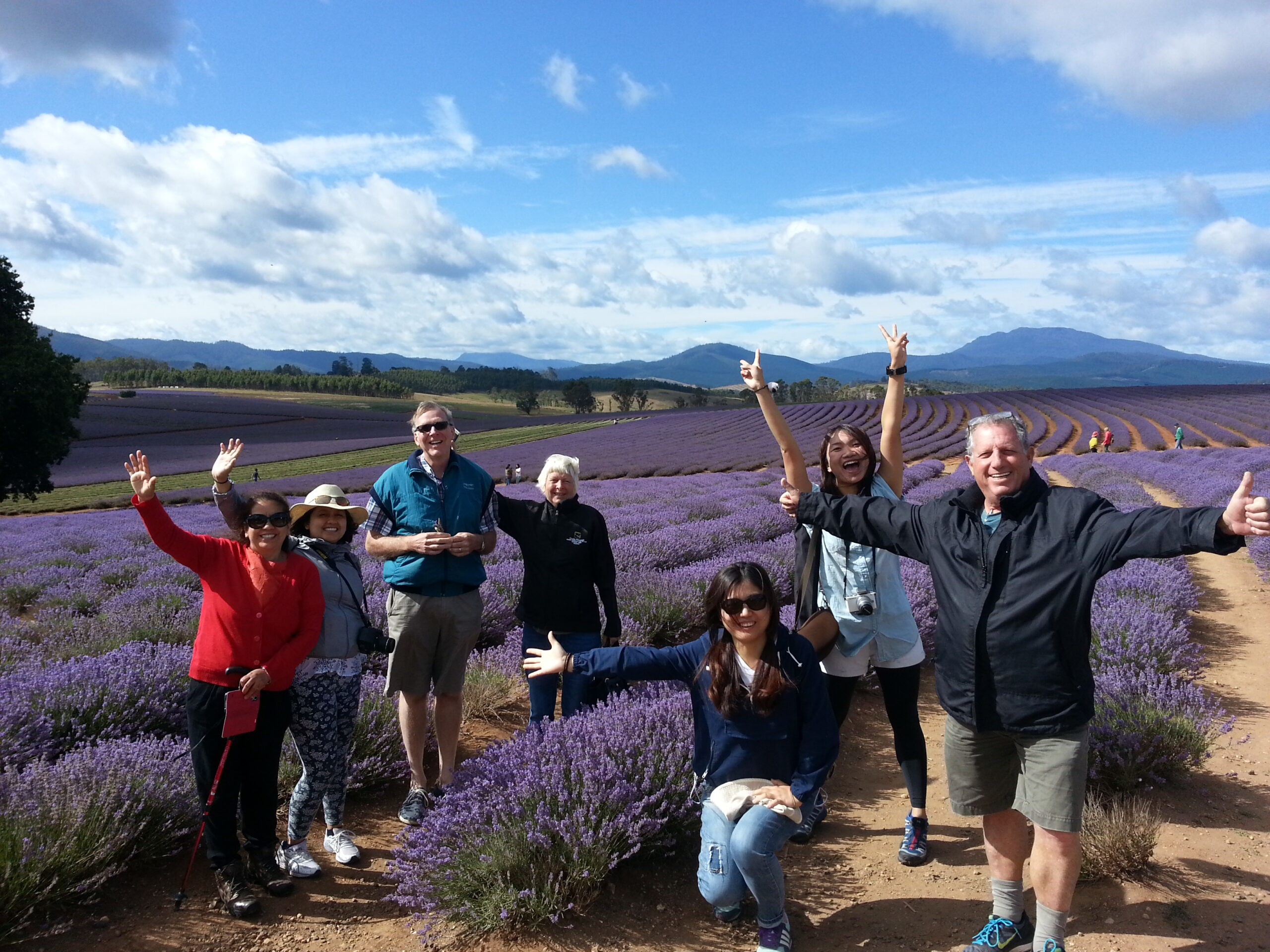 Bridestowe Lavender Farm shuttle