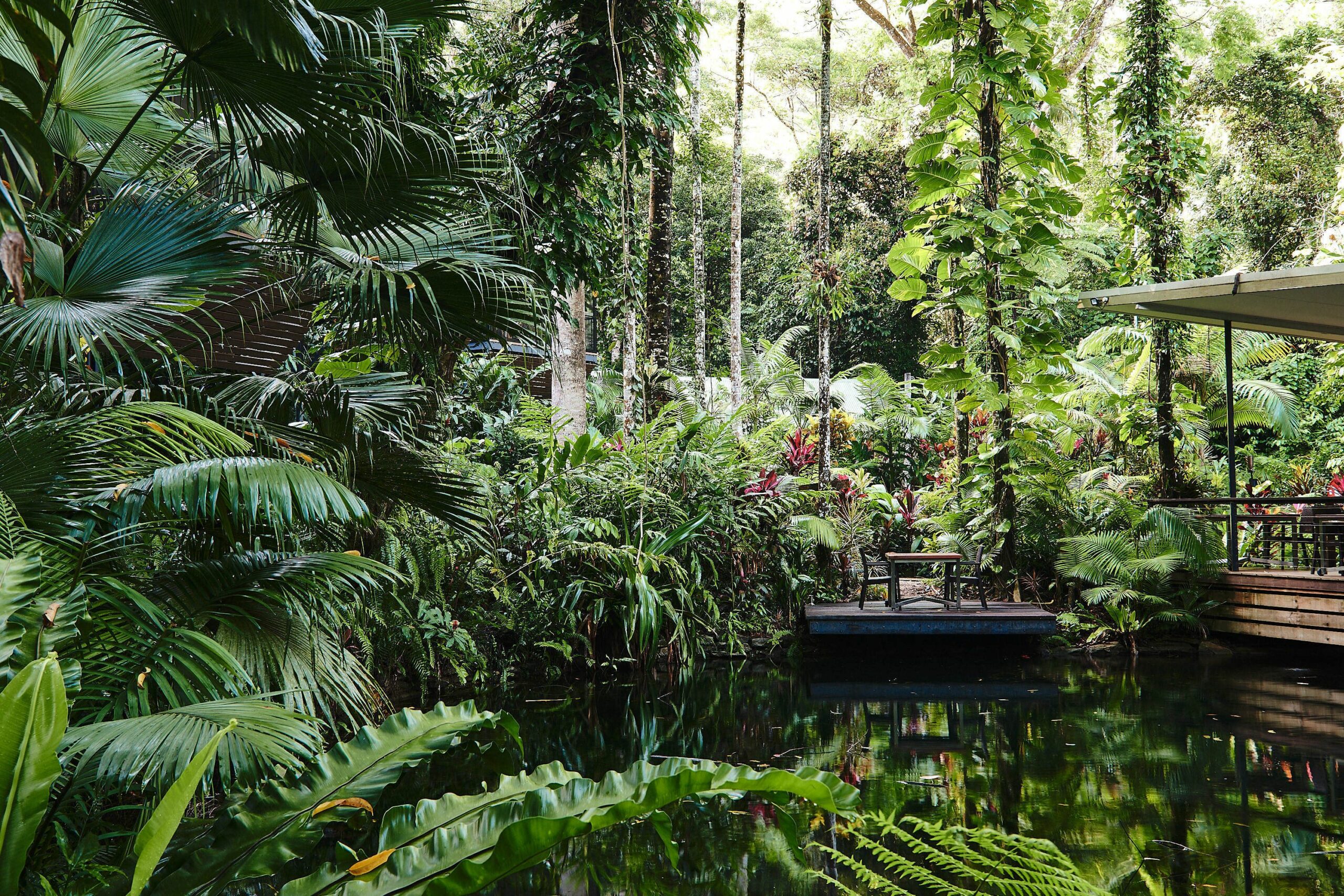 Daintree Ecolodge