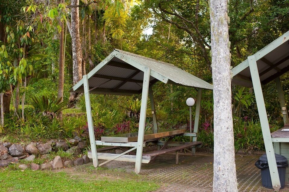 Mt Warning Rainforest Park