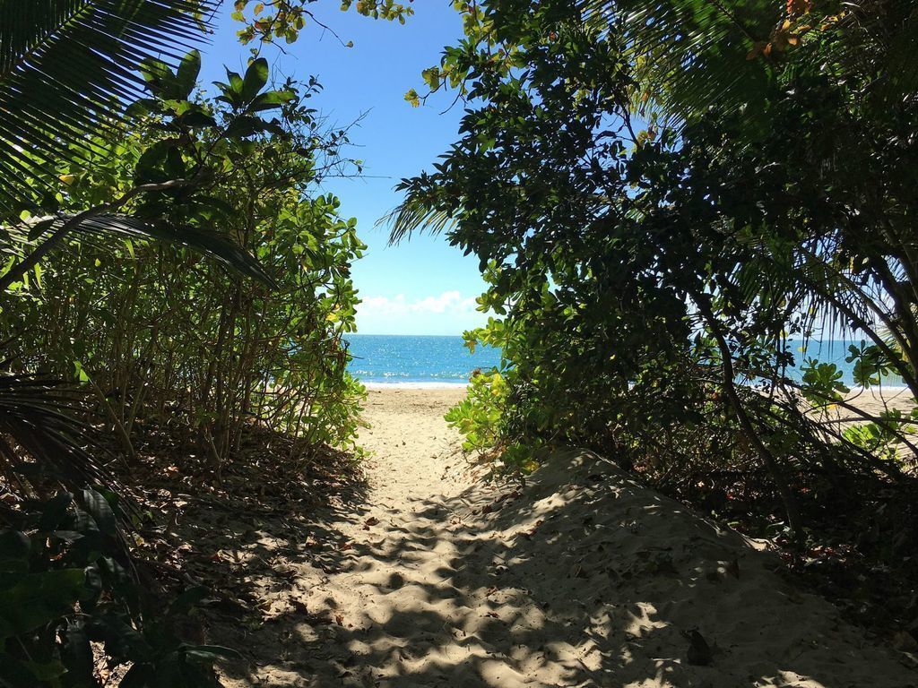 Surya Villa 1 - Port Douglas, QLD