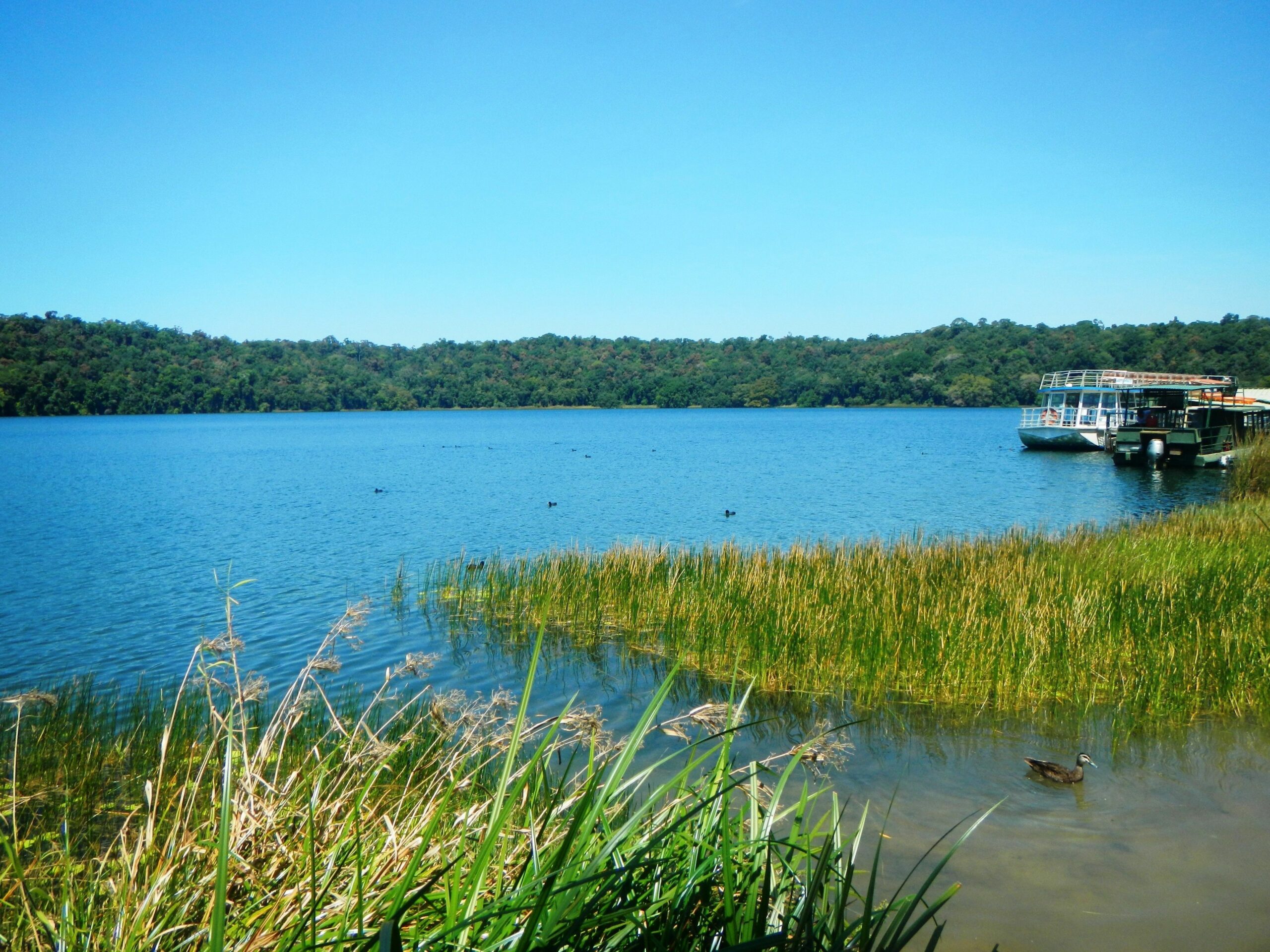 On The Wallaby Eco Lodge - Hostel