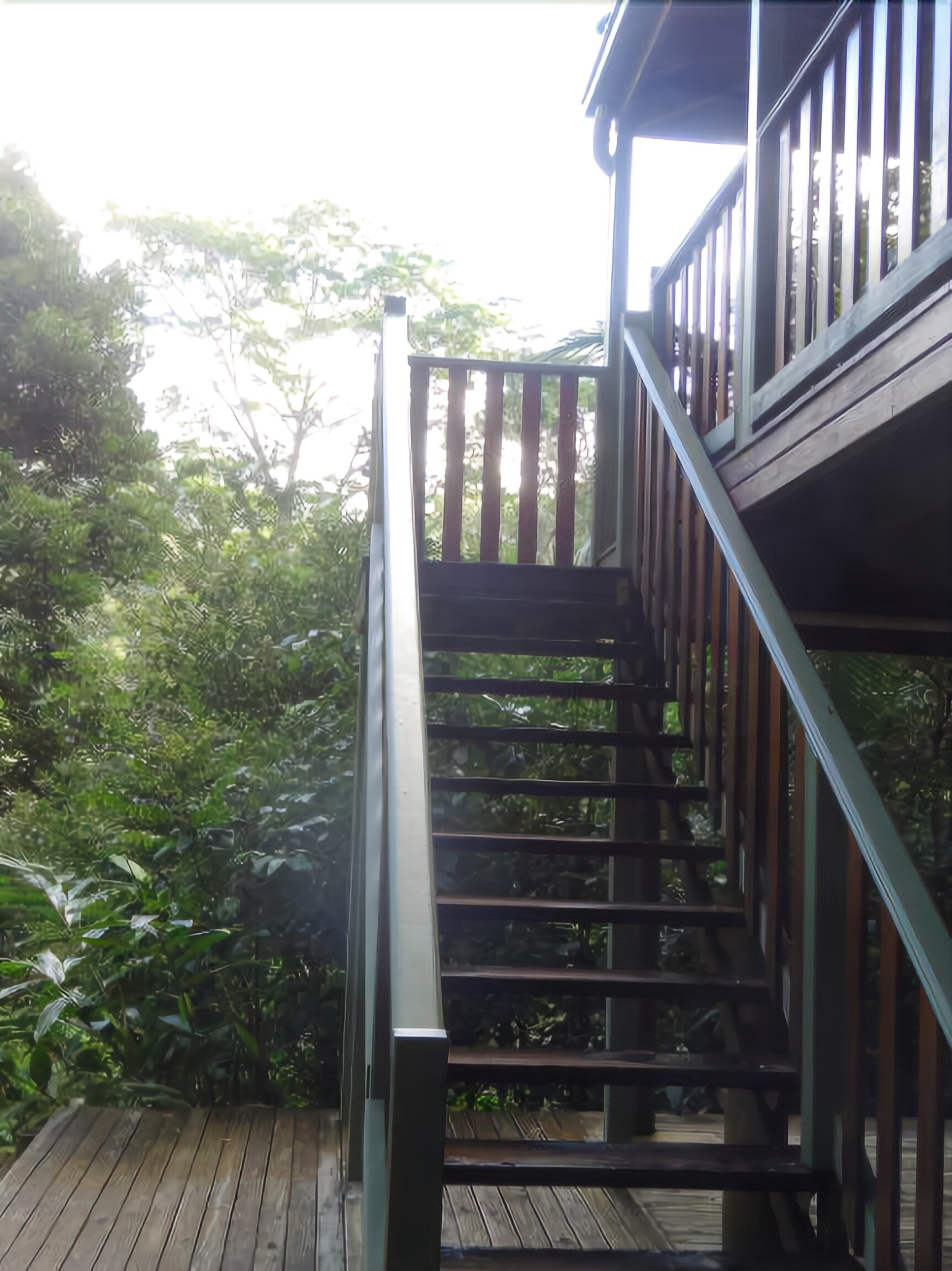 Treetops Accommodation Montville