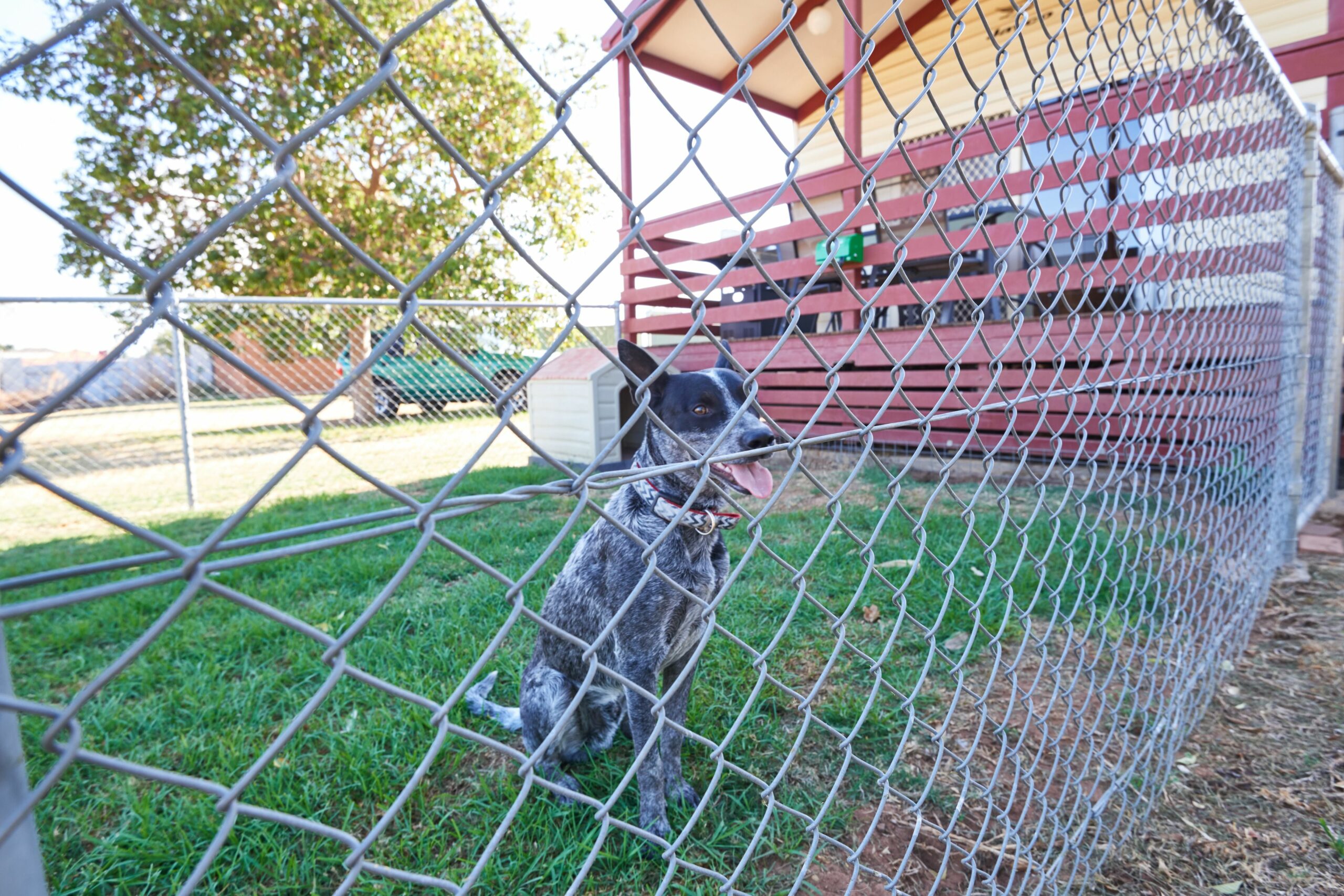 NRMA Dubbo Holiday Park