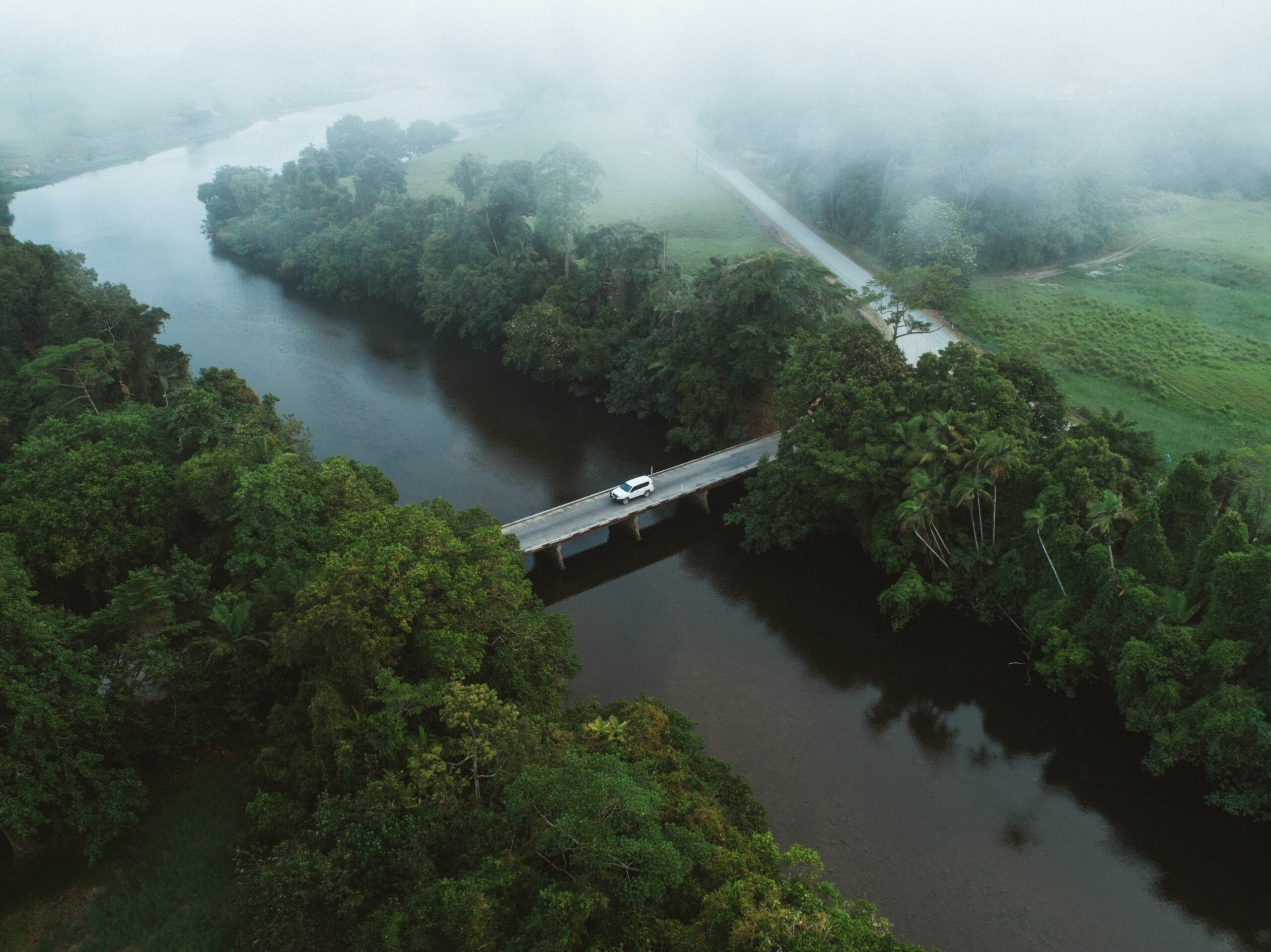 Daintree Ecolodge