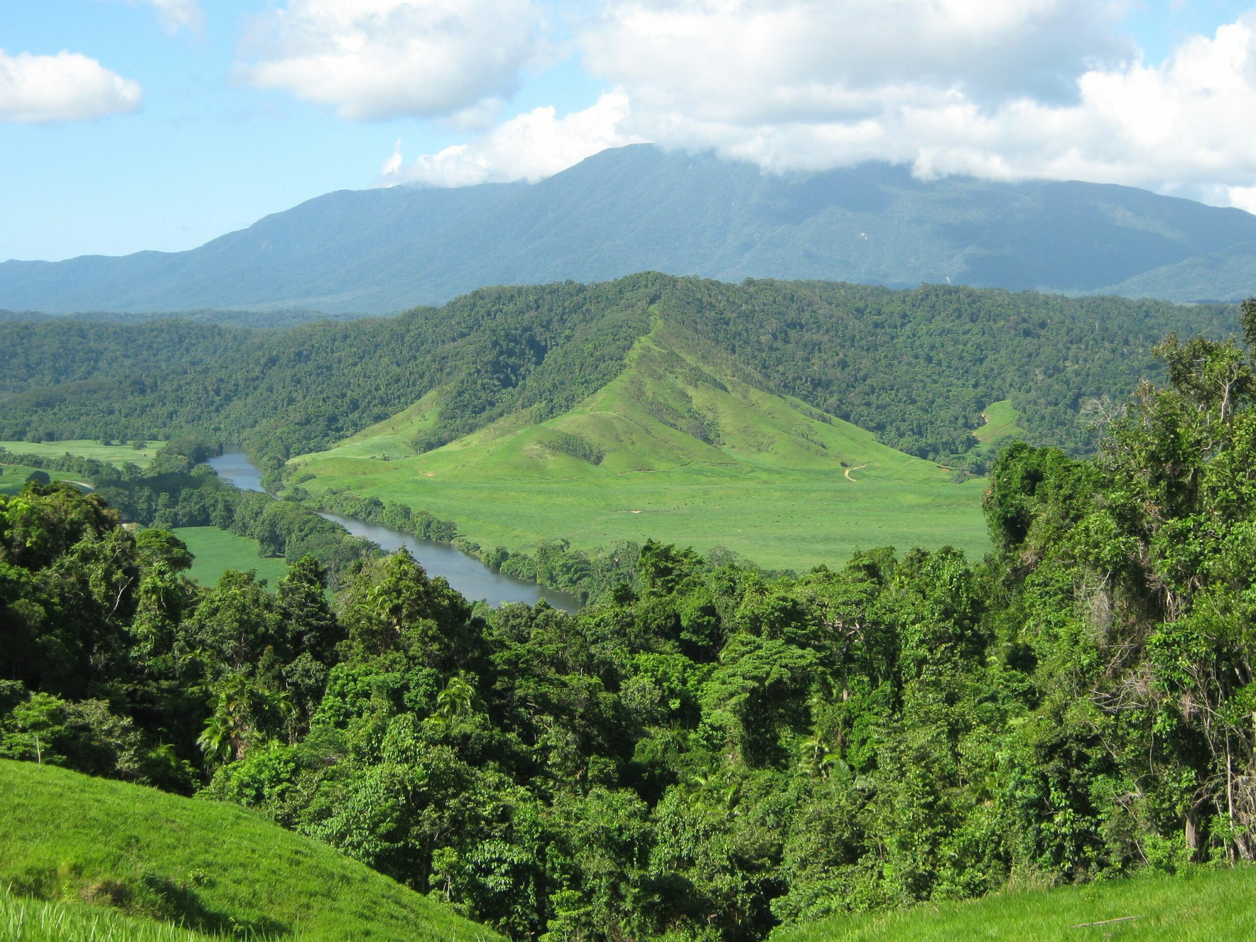 Daintree Riverview