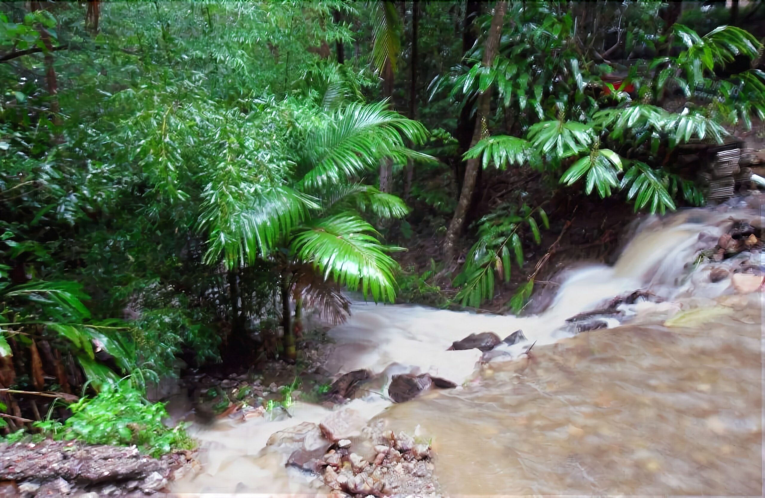 Treetops Accommodation Montville