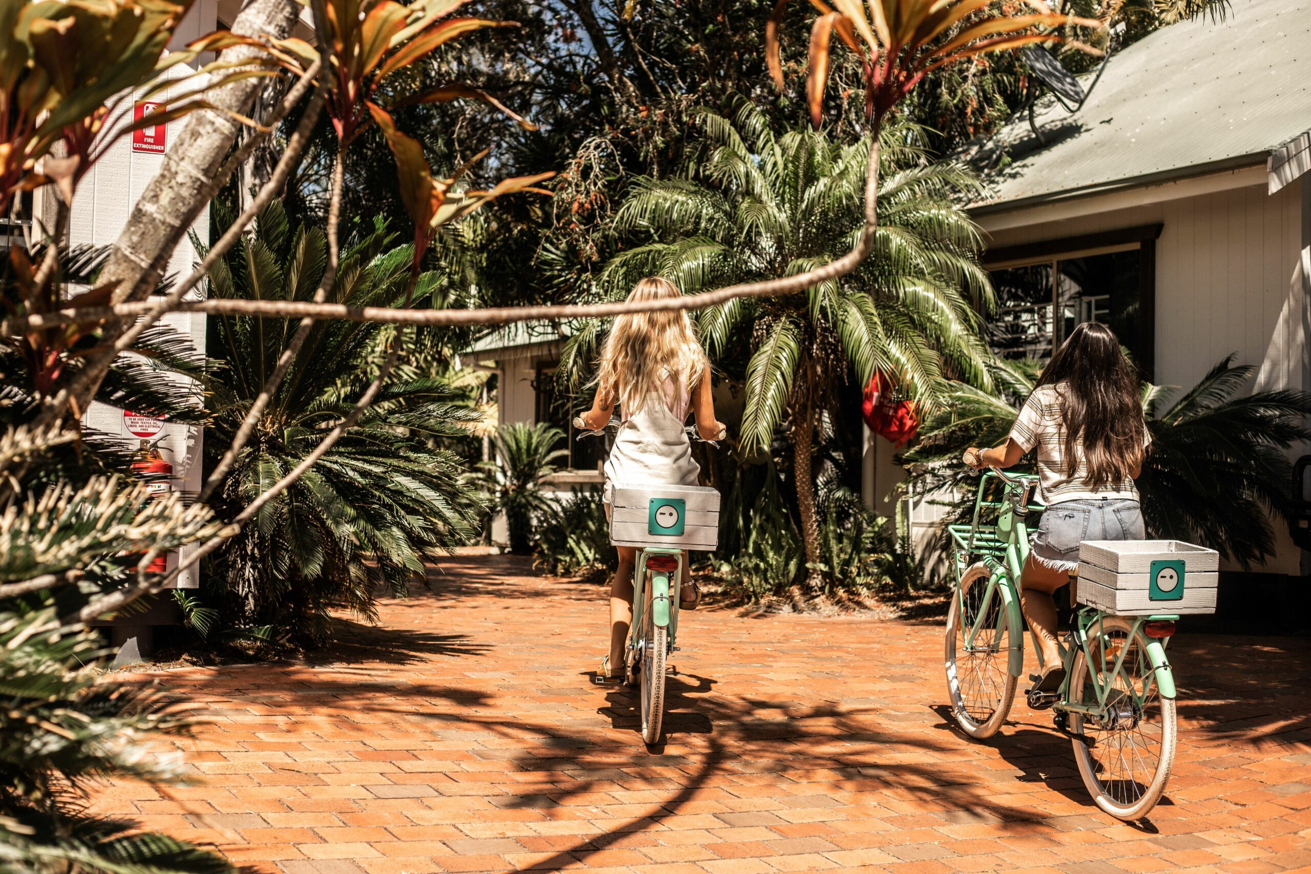 Wake Up! Byron Bay