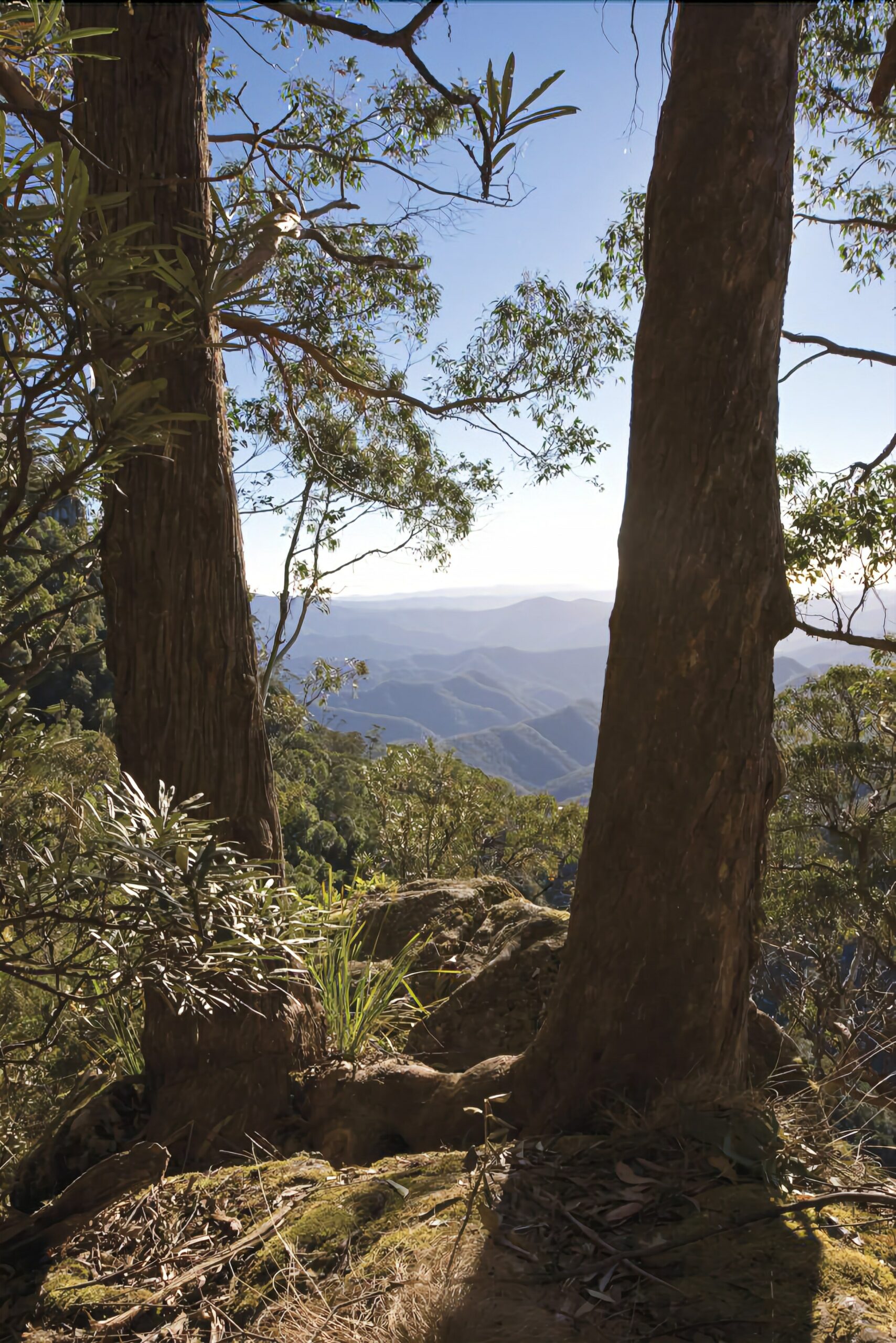 Moffat Falls Cottage