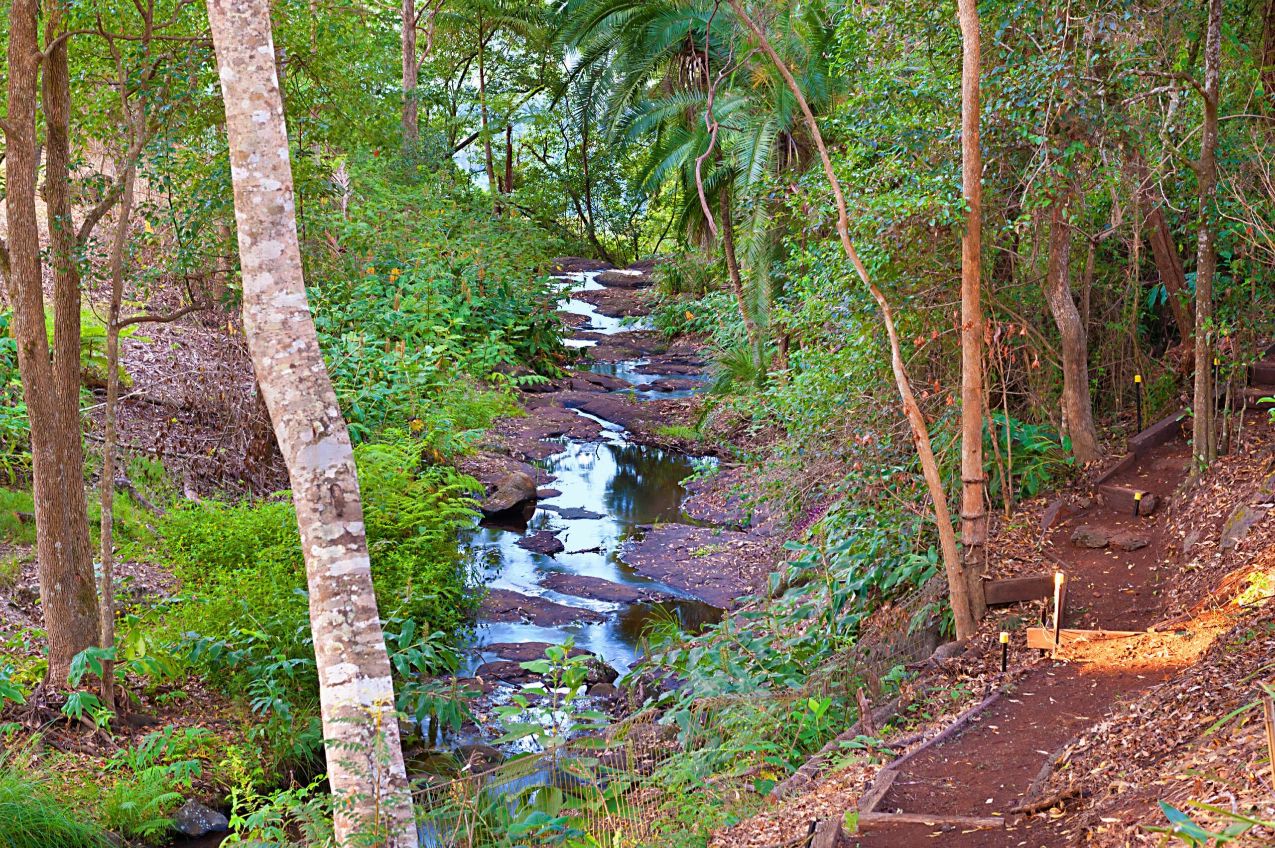 The Escarpment Retreat