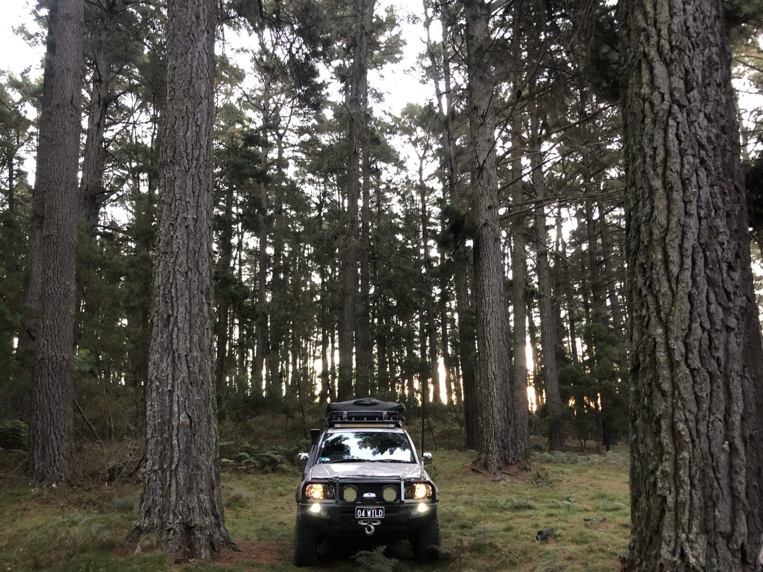 Blue Mountains Into The Wild Overnight Camping 4WD Off Road Wilderness Adventure