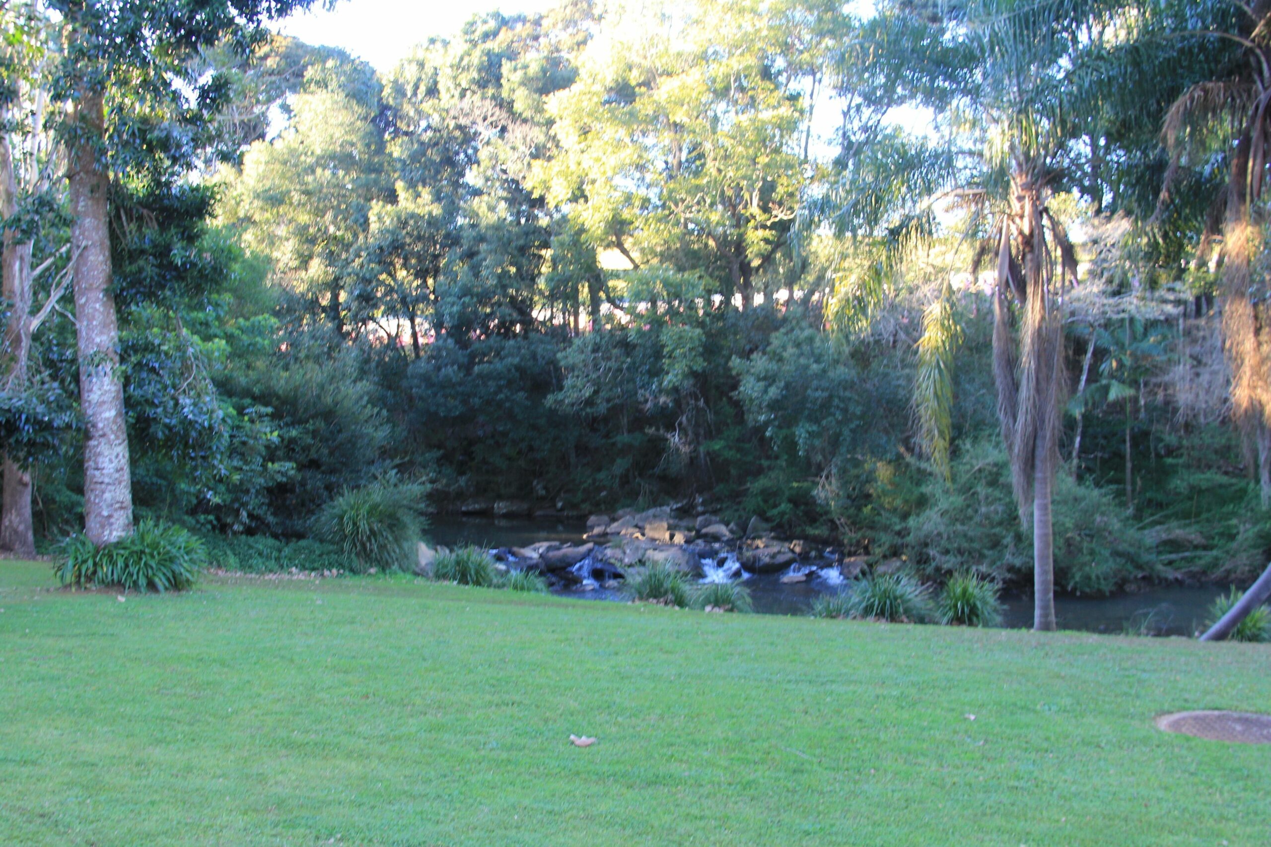 Maleny Hotel