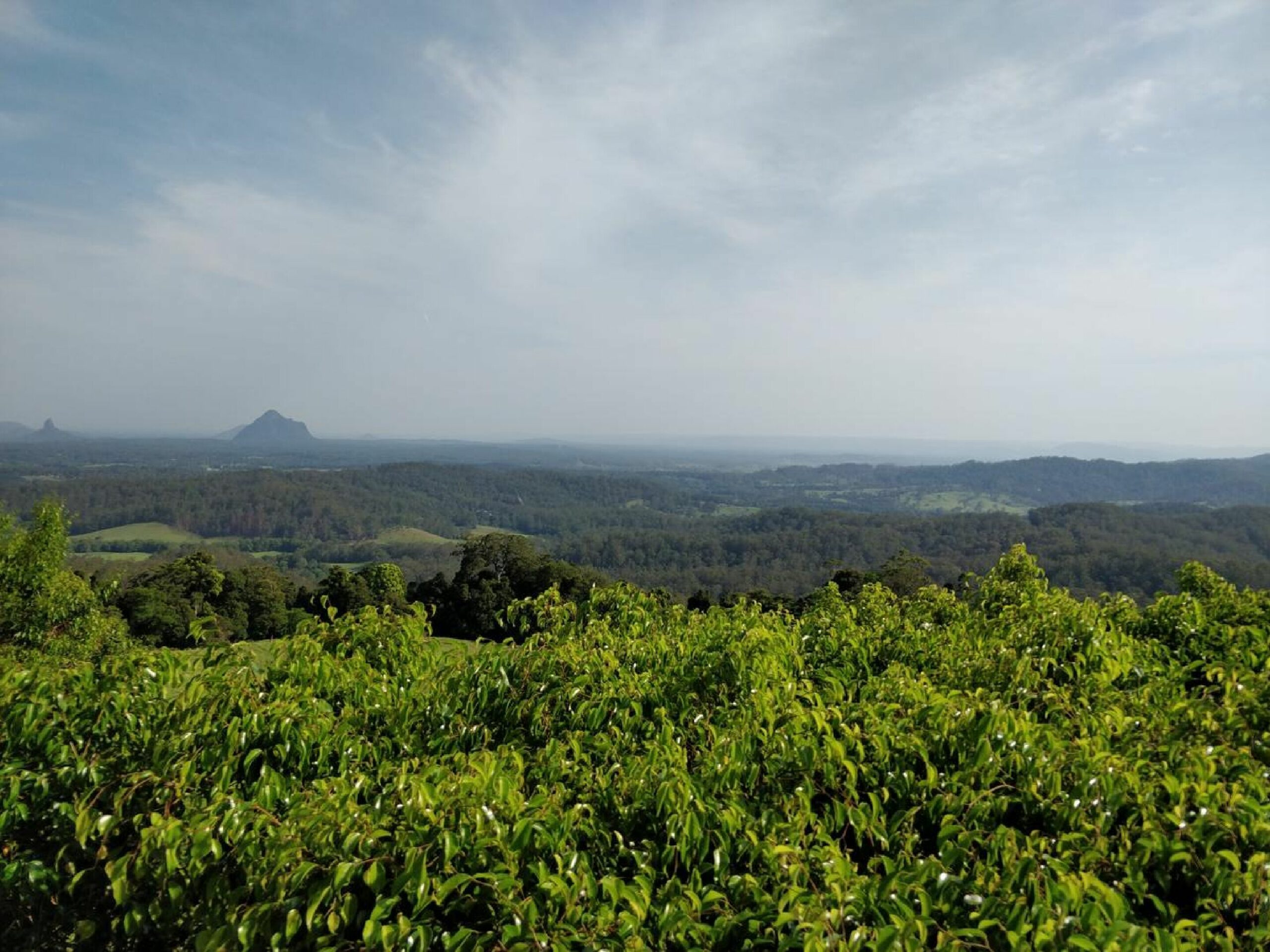 Tranquil Park Maleny