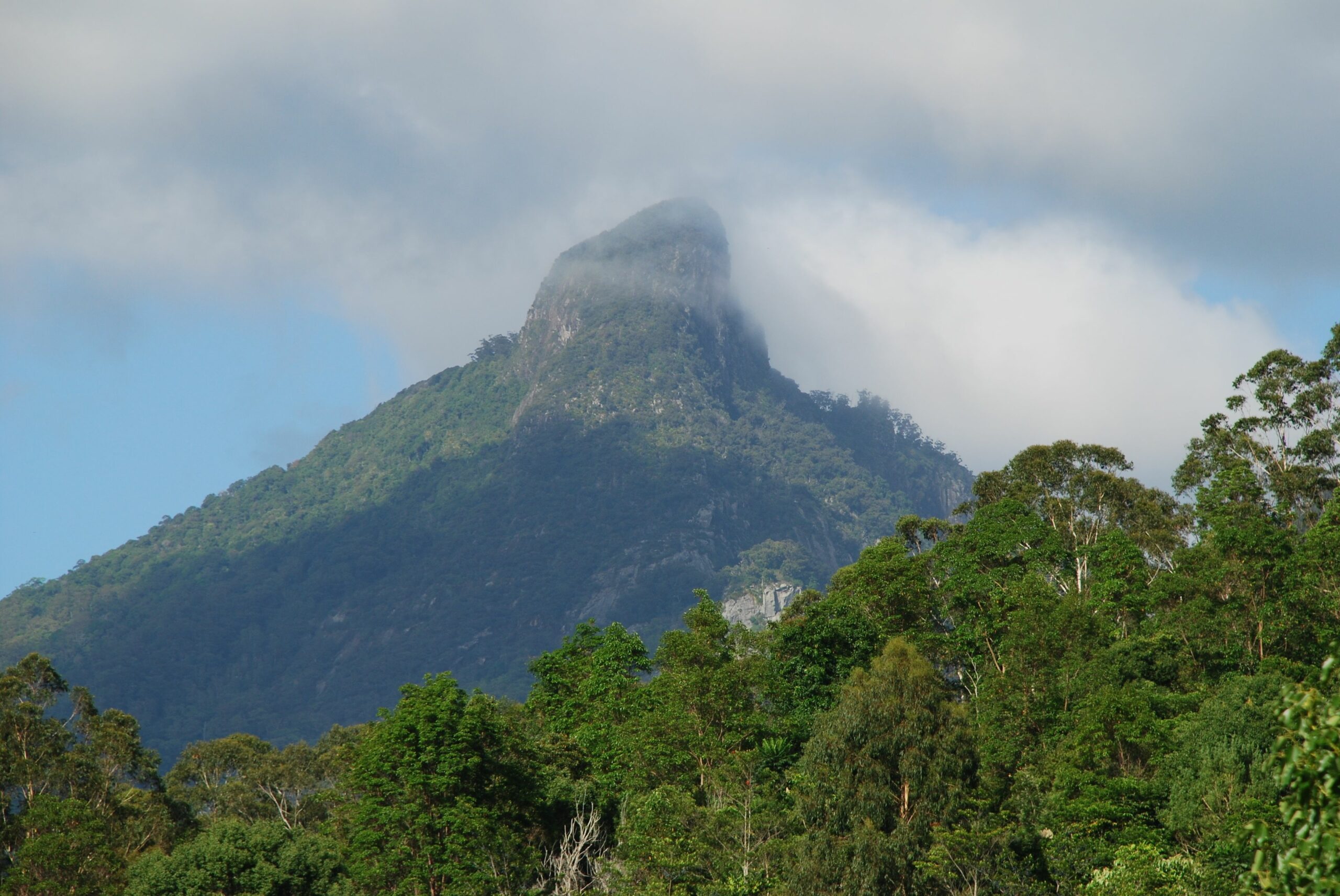 Mt Warning Rainforest Retreat