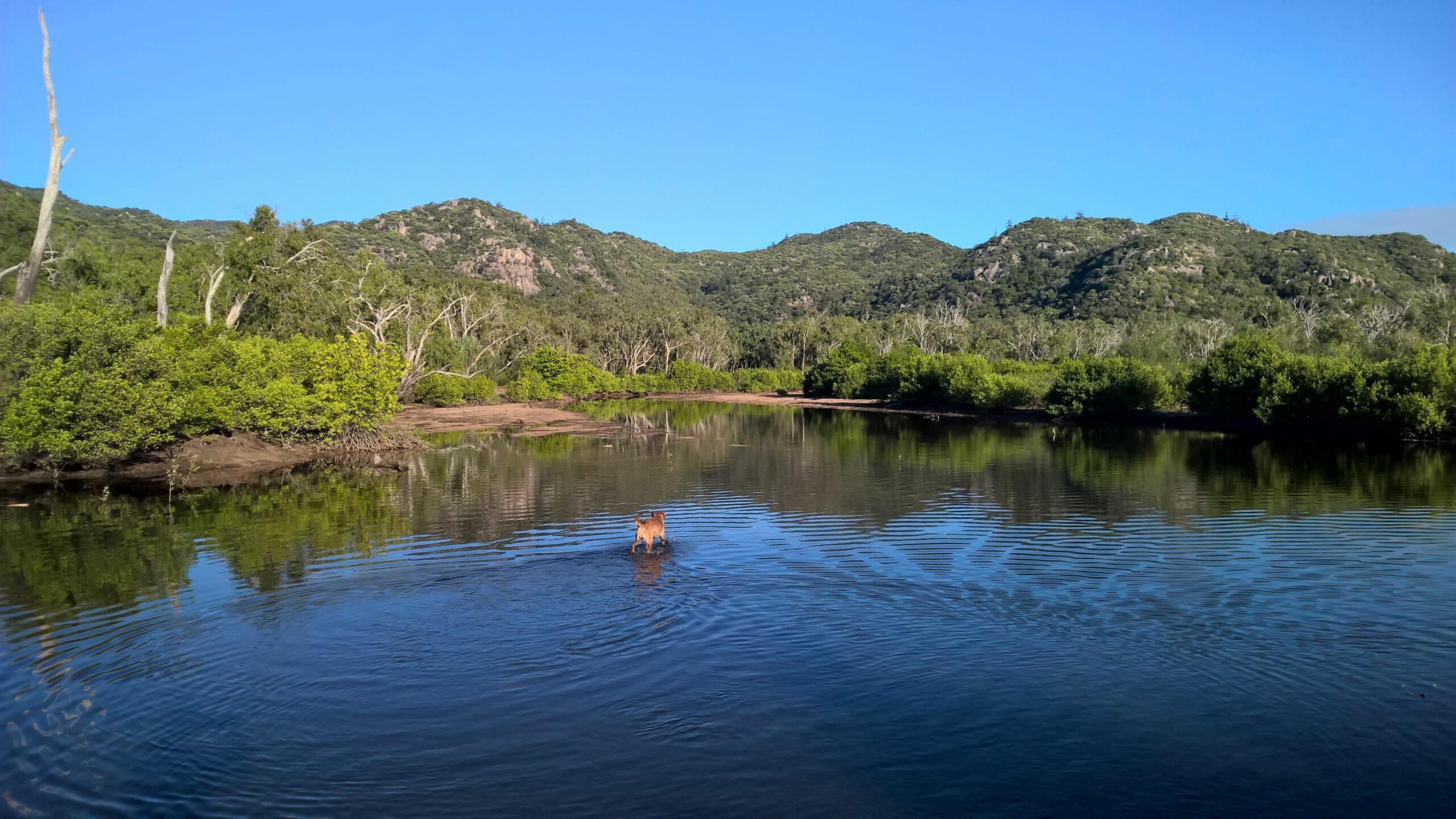 Magnetic Island Bed and Breakfast