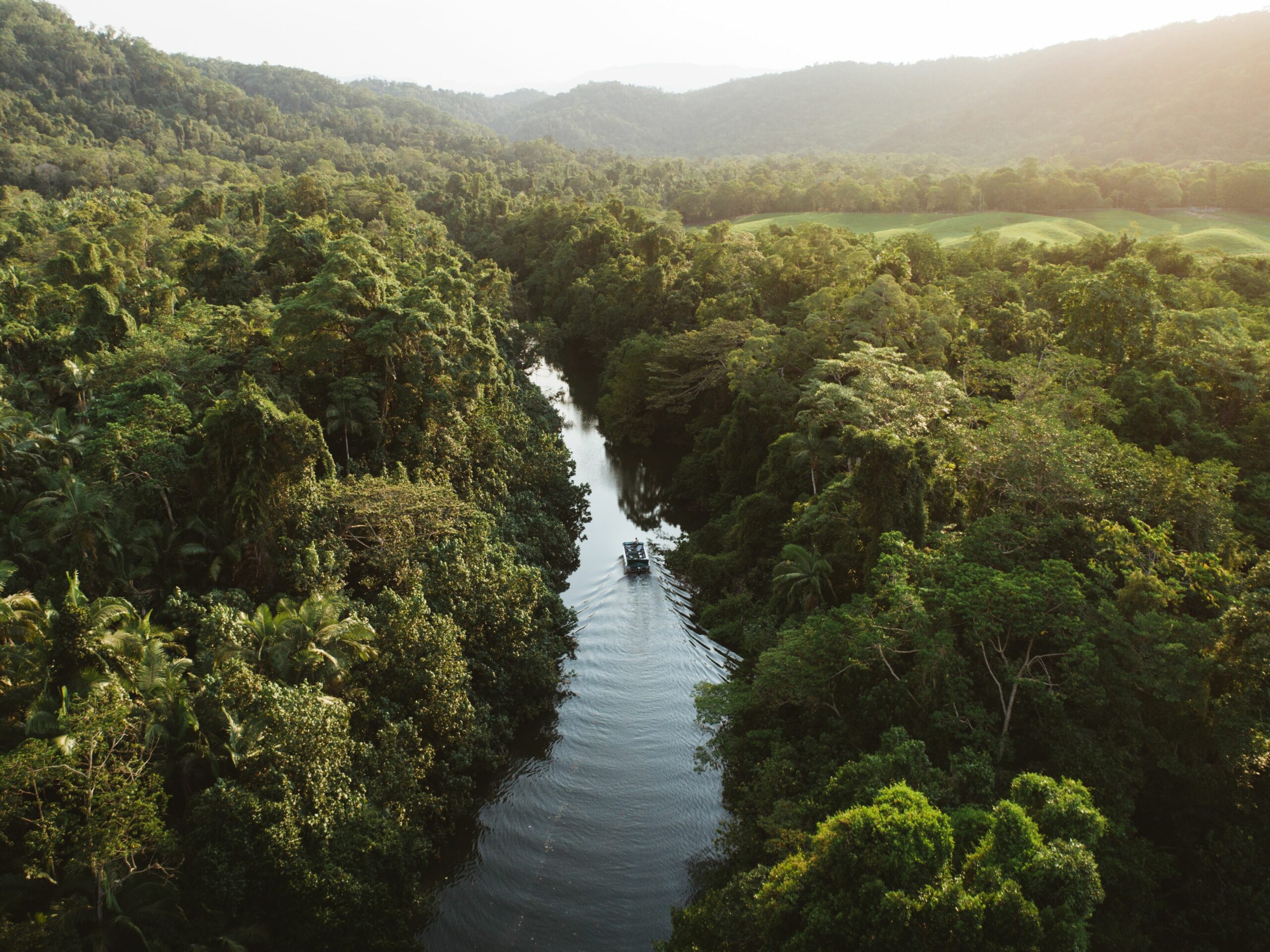 Daintree Ecolodge