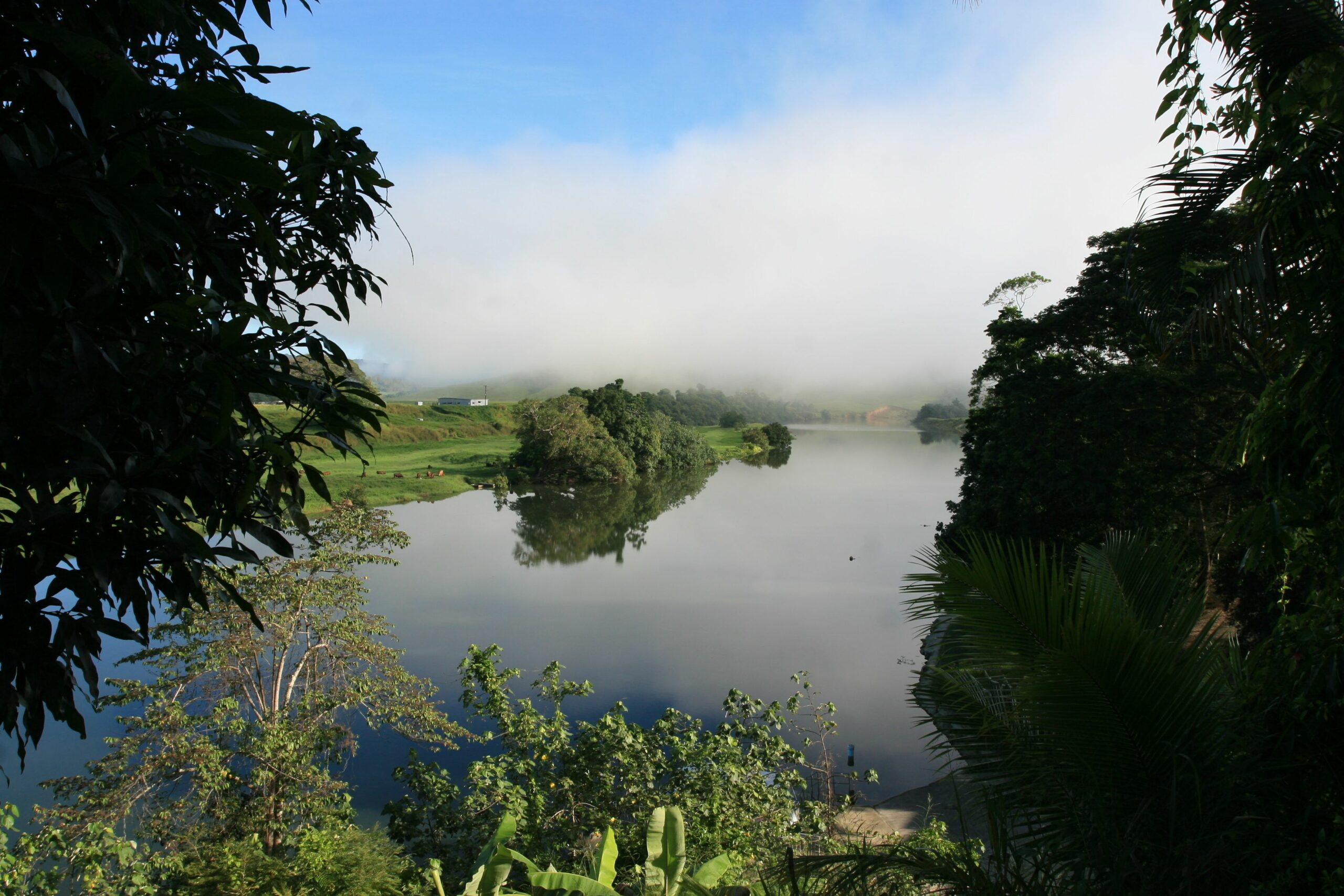 Daintree Village Bed and Breakfast