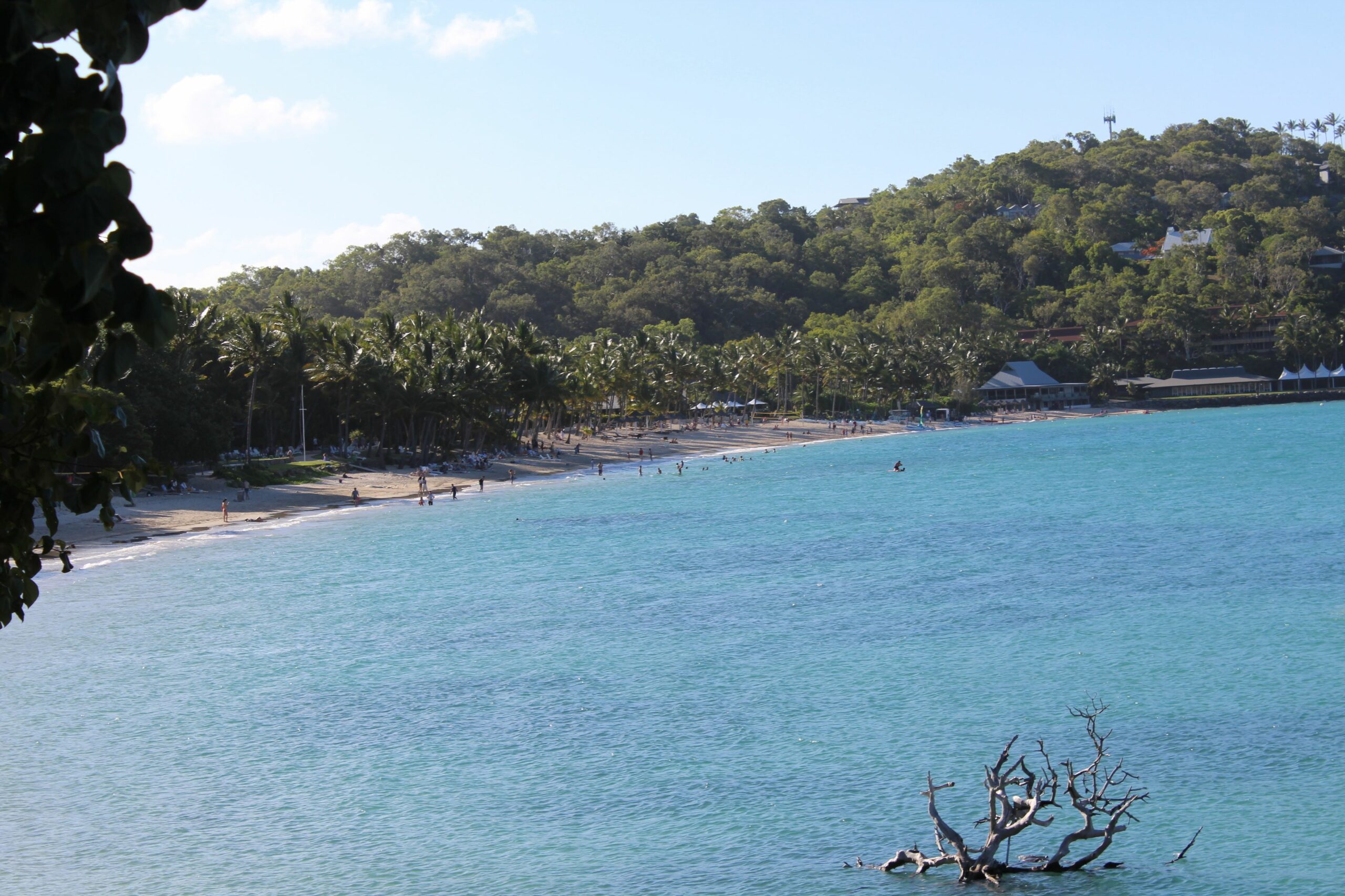 Oasis 25 Hamilton Island