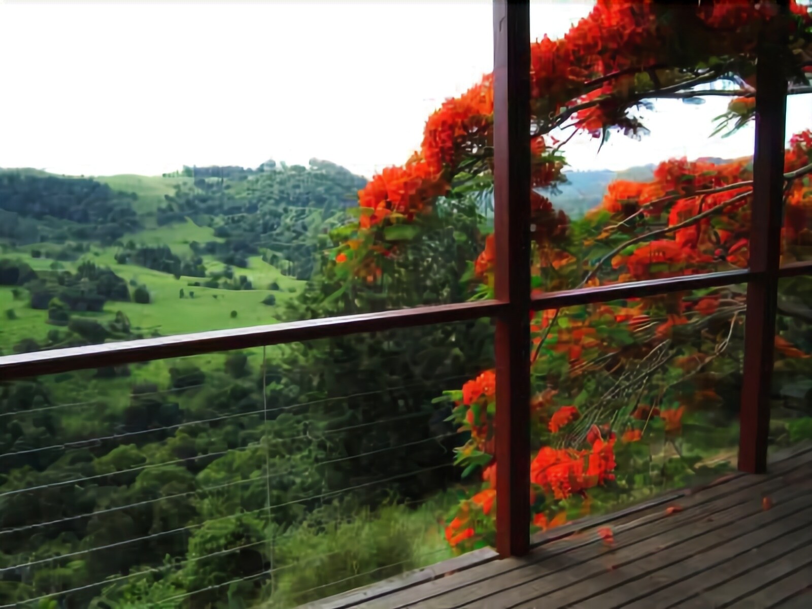 Maleny Tropical Retreat Balinese B&b