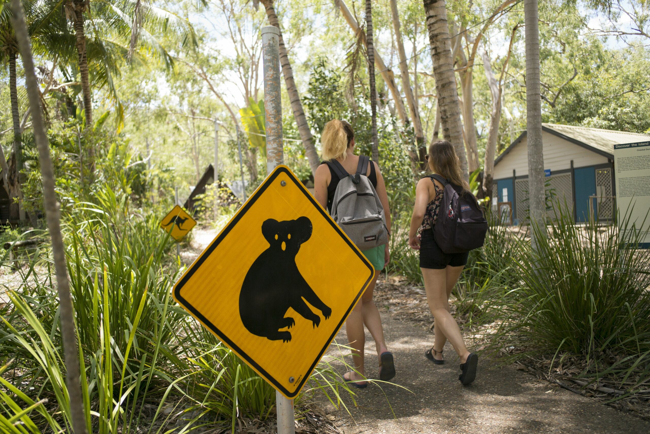 Bungalow Bay Koala Village - Hostel