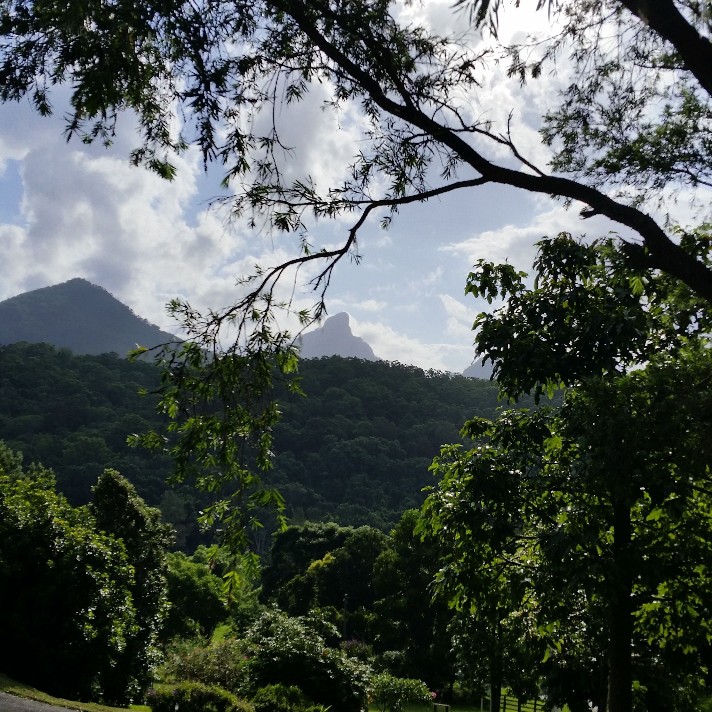 A View of Mt Warning Bed and Breakfast