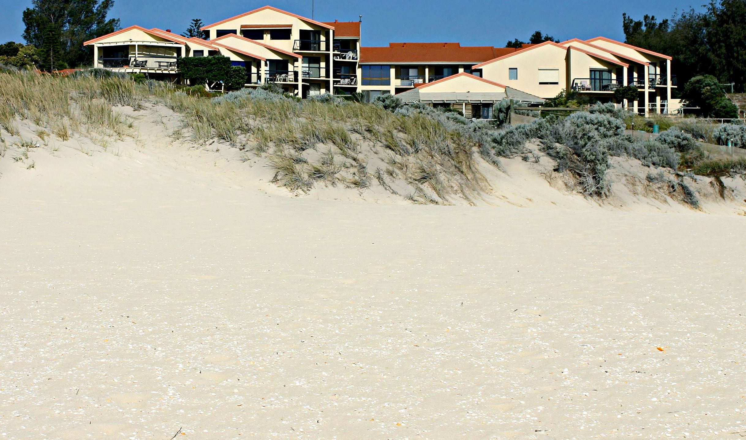 Scarborough & Absolutely Beachfront