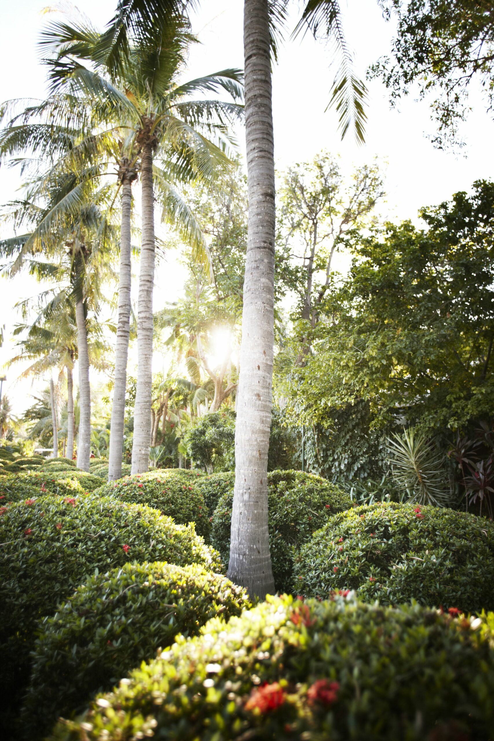 Cable Beach Club Resort & Spa