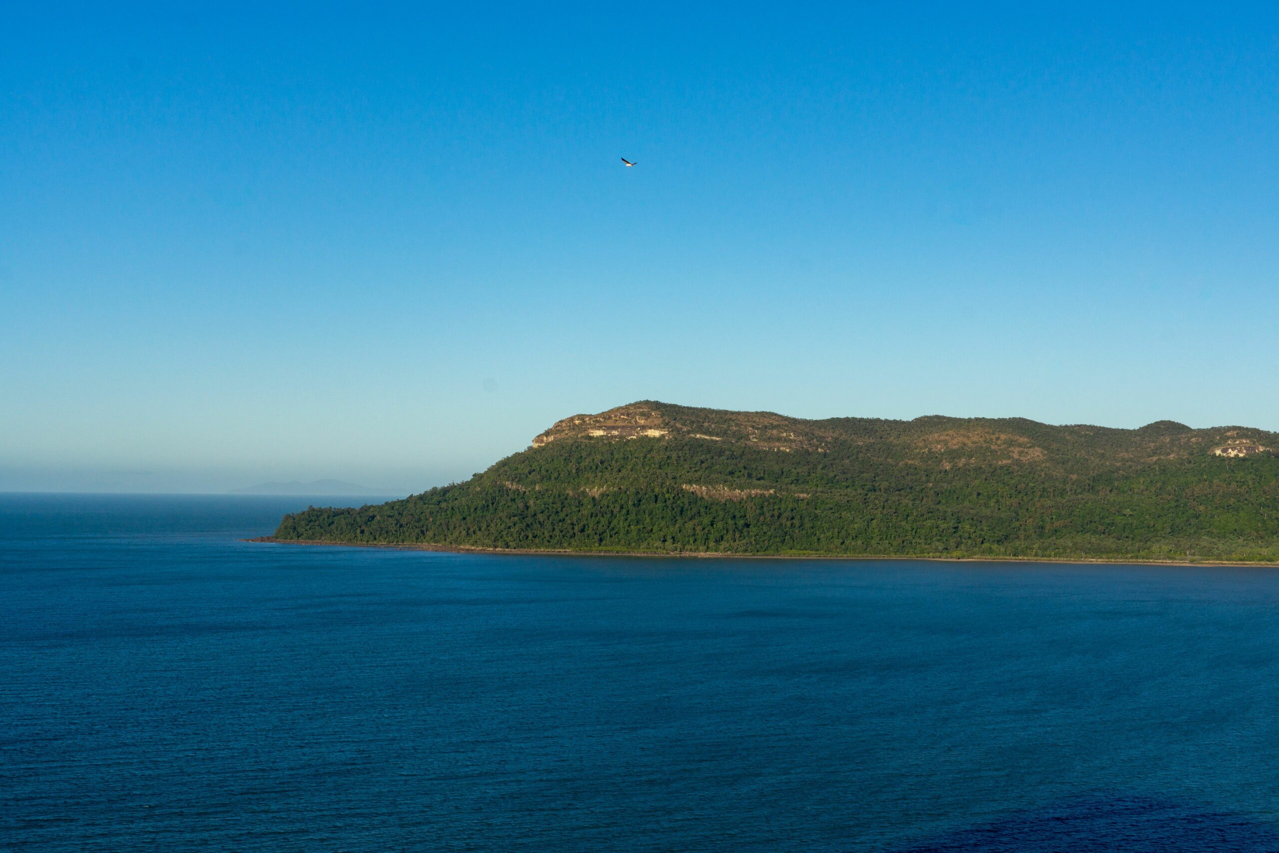 Halliday Bay Resort