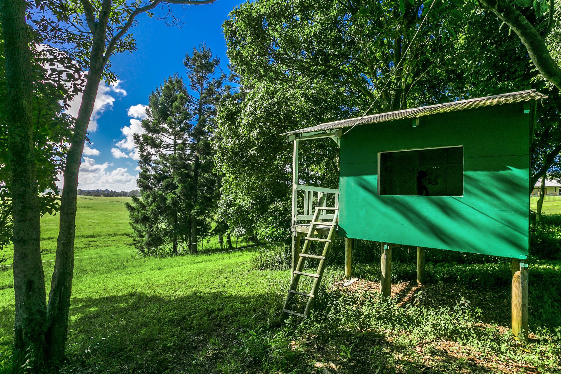 Myocum House - spacious hinterland farmhouse