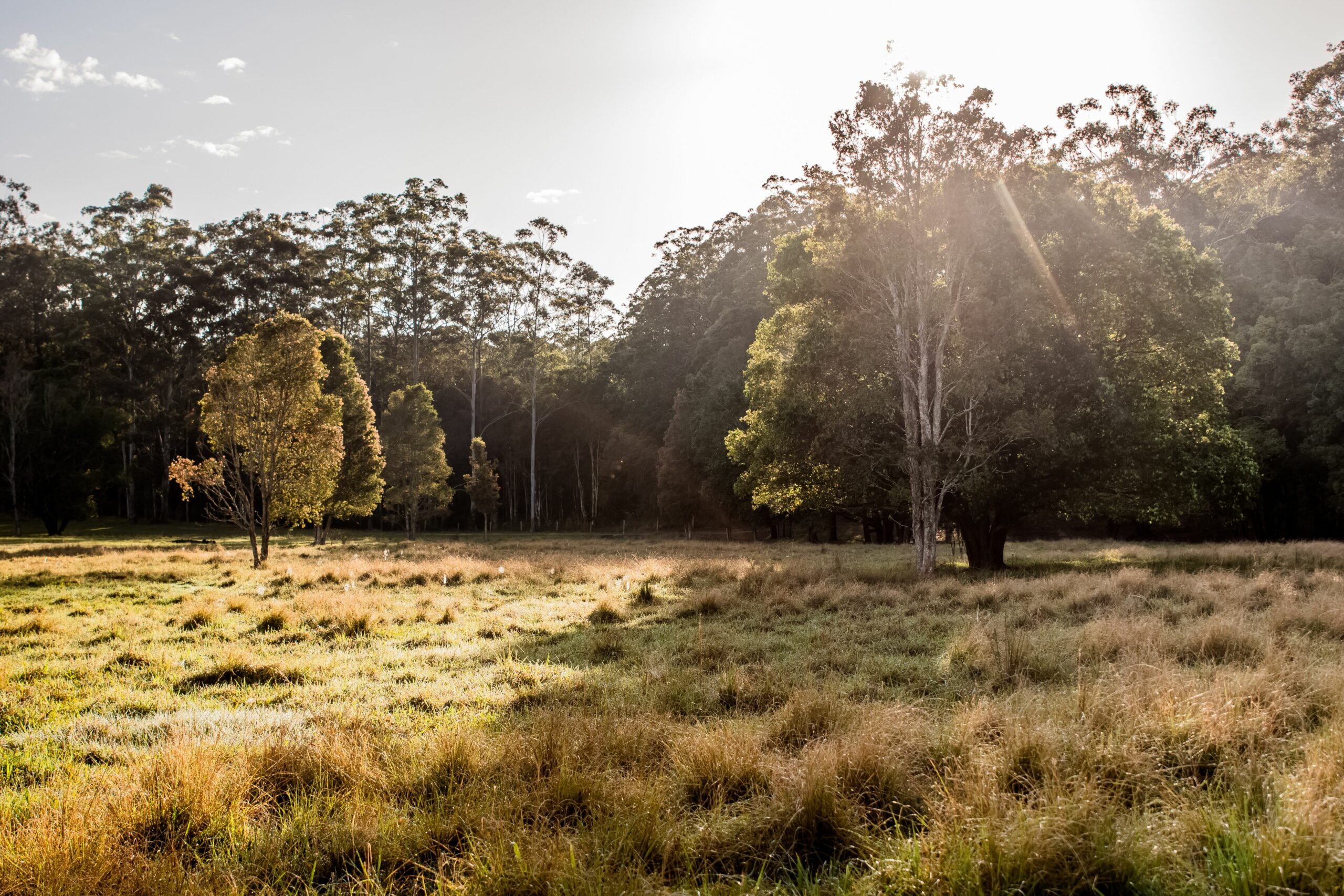 Catch Your Breath. A Rural Getaway Only 5 Mins to the Beach