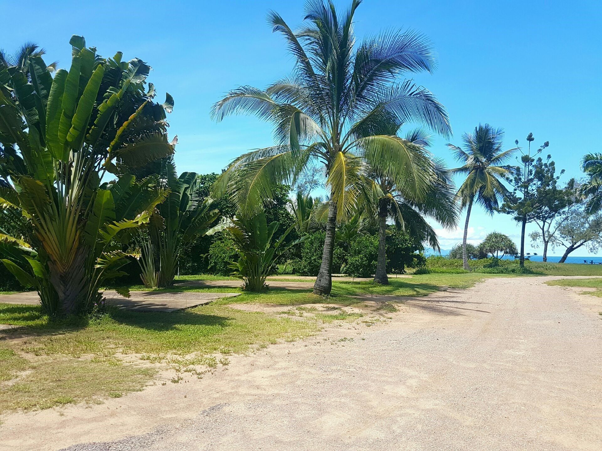 Forrest Beach Hotel