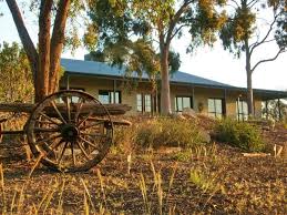 Beechworth or Milawa Wine Tour (Private tour)